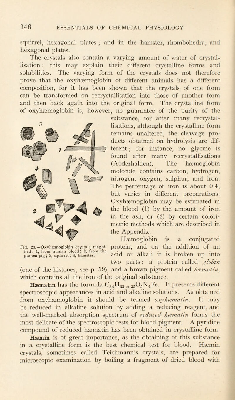 squirrel, hexagonal plates ; and in the hamster, rhombohedra, and hexagonal plates. The crystals also contain a varying amount of water of crystal¬ lisation : this may explain their different crystalline forms and solubilities. The varying form of the crystals does not therefore prove that the oxyhgemoglobin of different animals has a different composition, for it has been shown that the crystals of one form can be transformed on recrystallisation into those of another form and then back again into the original form. The crystalline form of oxyhgemoglobin is, however, no guarantee of the purity of the substance, for after many recrystal¬ lisations, although the crystalline form remains unaltered, the cleavage pro¬ ducts obtained on hydrolysis are dif¬ ferent ; for instance, no glycine is found after many recrystallisations (Abderhalden). The haemoglobin molecule contains carbon, hydrogen, nitrogen, oxygen, sulphur, and iron. The percentage of iron is about 0-4, but varies in different preparations. Oxyhgemoglobin may be estimated in the blood (1) by the amount of iron in the ash, or (2) by certain colori¬ metric methods which are described in the Appendix. Hgemoglobin is a conjugated protein, and on the addition of an acid or alkali it is broken up into two parts: a protein called globtn (one of the histones, see p. 59), and a brown pigment called hcetnaiin, which contains all the iron of the original substance. Hgeraatin has the formula C34H33 3505N4Fe. It presents different spectroscopic appearances in acid and alkaline solutions. As obtained from oxyhgemoglobin it should be termed oxyhmnatin. It may be reduced in alkaline solution by adding a reducing reagent, and the well-marked absorption spectrum of reduced Juematin forms the most delicate of the spectroscopic tests for blood pigment. A pyridine compound of reduced hgematin has been obtained in crystalline form. Haemin is of great importance, as the obtaining of this substance in a crystalline form is the best chemical test for blood. Hgemin crystals, sometimes called Teichmann’s crystals, arc prepared for microscopic examination by boiling a fragment of dried blood with Fig. 23.—OxyliEEitioglobin crystals ningni- fied : 1, from human blood ; 2, from the guinea-pig ; 3, squirrel; 4, hamster.