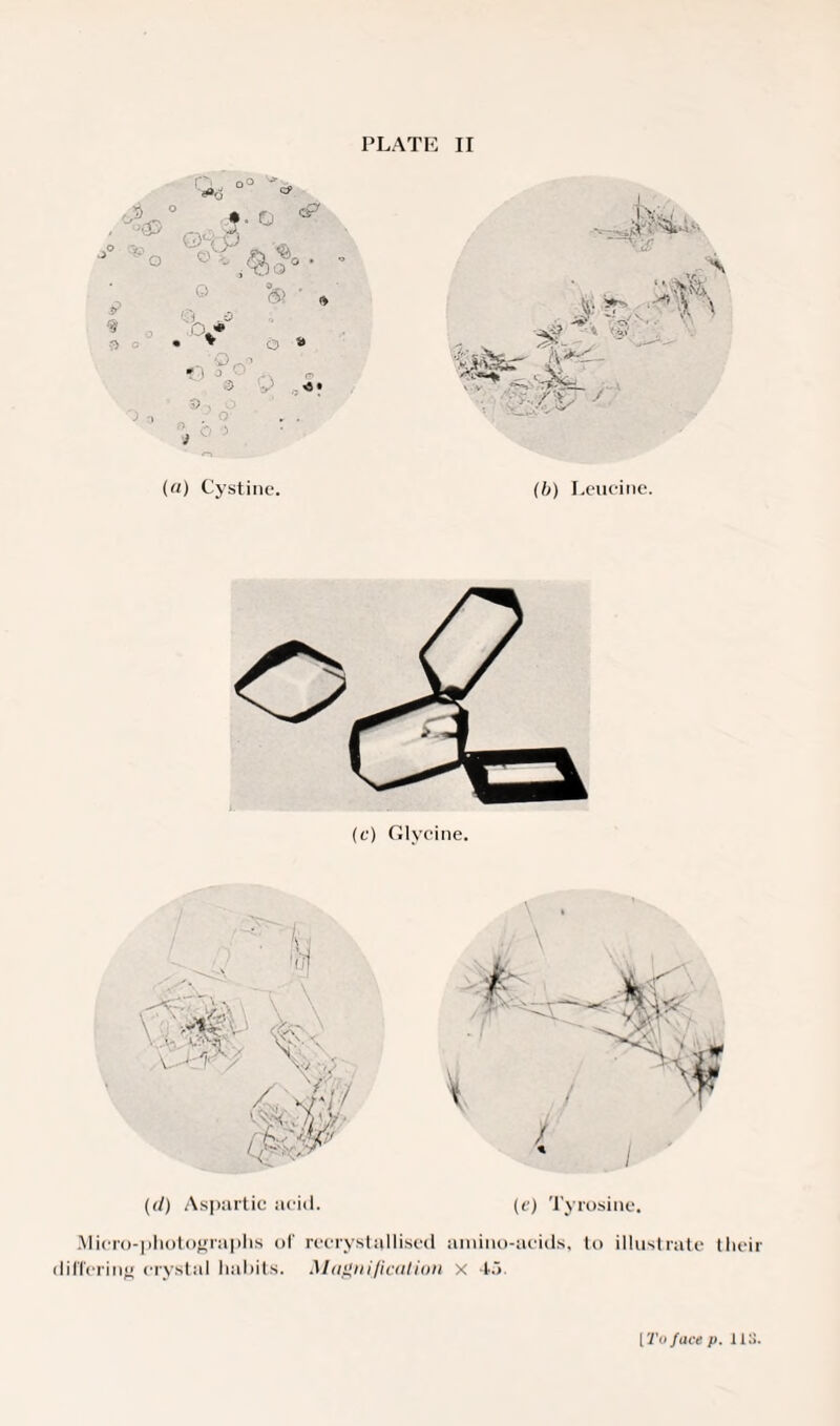 <3* °° - <V * J° 0 • -:> . & ■ * ■) • v o a a . «• («) Cystine. (6) Leucine. (e) Glycine. \ • (d) Aspartic acid. (e) Tyrosine. Micro-photographs ol' recrystallised amino-acids, to illustrate their differing crystal habits. Magnification x 45. [ To face p. US.