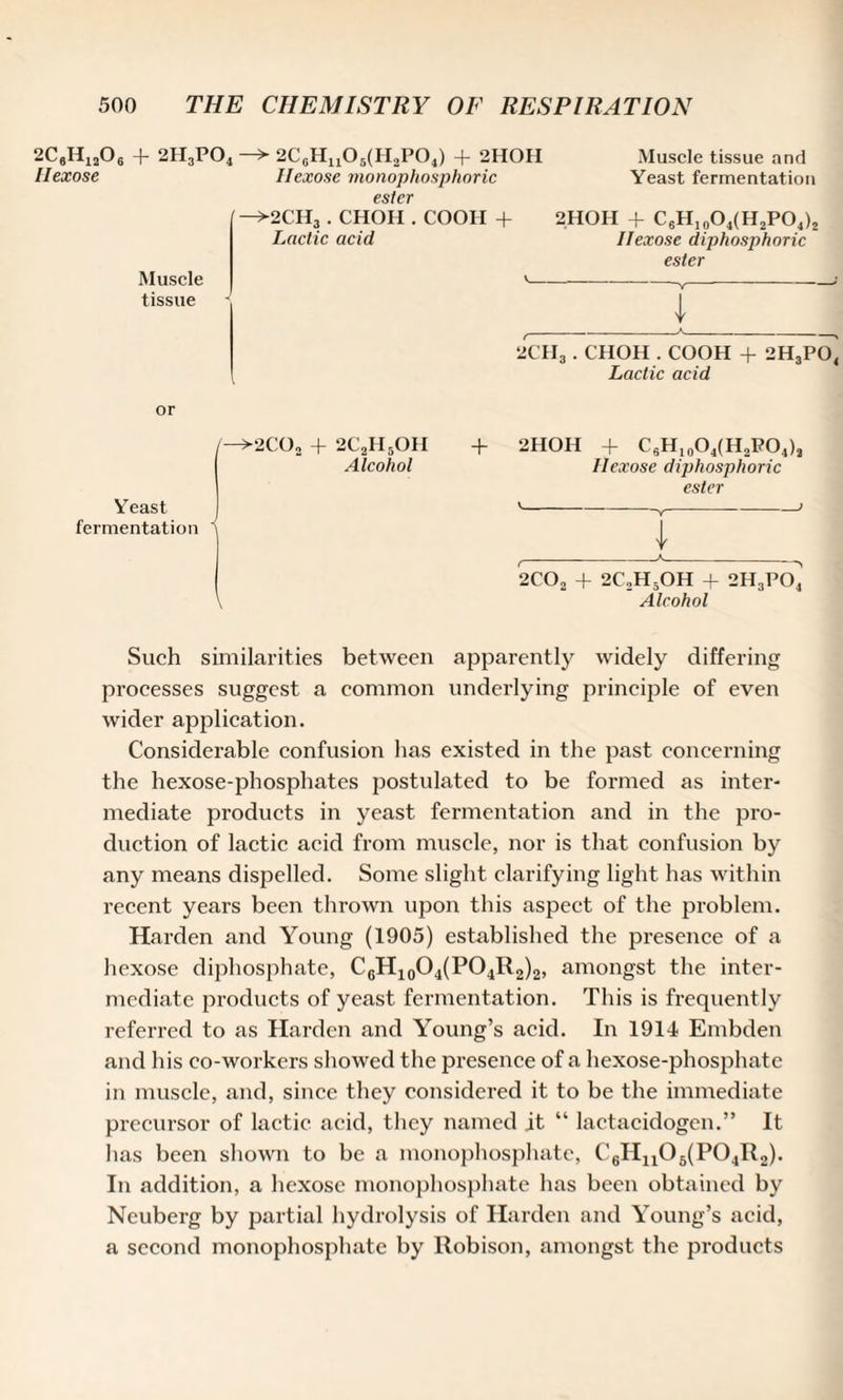 2C6H12Os + 2H3P04 —► 2CcH1105(H2P04) + 2HOH Muscle tissue and Ilexose Ilexose monophosphoric Yeast fermentation ester Muscle tissue —>2CHj . CHOH . COOII + Lactic acid 2HOH + C6H10O4(H2PO4)2 Ilexose diphosphoric ester 1 2CH3 . CHOH . COOH + 2H3P04 Lactic acid or ■2CO„ + 2C2H5OH Alcohol + 2HOH + CsH10O4(H2PO4)2 Ilexose diphosphoric ester Yeast fermentation A 2C02 + 2C2H5OH + 2H3P04 Alcohol Such similarities between apparently widely differing processes suggest a common underlying principle of even wider application. Considerable confusion has existed in the past concerning the hexose-phosphates postulated to be formed as inter¬ mediate products in yeast fermentation and in the pro¬ duction of lactic acid from muscle, nor is that confusion by any means dispelled. Some slight clarifying light has within recent years been thrown upon this aspect of the problem. Harden and Young (1905) established the presence of a hexose diphosphate, C6H10O4(PO4R2)2, amongst the inter¬ mediate products of yeast fermentation. This is frequently referred to as Harden and Young’s acid. In 1914 Embden and his co-workers showed the presence of a hexose-phosphate in muscle, and, since they considered it to be the immediate precursor of lactic acid, they named it “ lactacidogen.” It has been shown to be a monophosphate, C6Hn05(P04R2). In addition, a hexose monophosphate has been obtained by Ncuberg by partial hydrolysis of Harden and Young’s acid, a second monophosphate by Robison, amongst the products