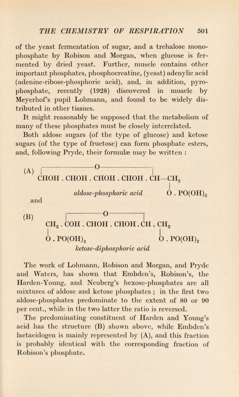 of the yeast fermentation of sugar, and a trehalose mono¬ phosphate by Robison and Morgan, when glucose is fer¬ mented by dried yeast. Further, muscle contains other important phosphates, phosphocreatine, (yeast) adenylic acid (adenine-ribose-phosphoric acid), and, in addition, pyro¬ phosphate, recently (1928) discovered in muscle by Meyerhof’s pupil Lohmann, and found to be widely dis¬ tributed in other tissues. It might reasonably be supposed that the metabolism of many of these phosphates must be closely interrelated. Both aldose sugars (of the type of glucose) and ketose sugars (of the type of fructose) can form phosphate esters, and, following Pryde, their formulae may be written : (A) O- CHOH . CHOH . CHOH . CHOH . CH—CH, and aldose-phosphoric acid O . PO(OH)., (B) I U I CH2. COH . CHOH . CHOH. CH . CH2 0 . PO(OH)2 O . PO(OH)2 ketose-diphosphoric acid The work of Lohmann, Robison and Morgan, and Pryde and Waters, has shown that Embden’s, Robison’s, the Harden-Young, and Neuberg’s hexose-phosphates are all mixtures of aldose and ketose phosphates ; in the first two aldose-phosphates predominate to the extent of 80 or 90 per cent., while in the two latter the ratio is reversed. The predominating constituent of Harden and Young’s acid has the structure (B) shown above, while Embden’s lactacidogen is mainly represented by (A), and this fraction is probably identical with the corresponding fraction of Robison’s phosphate.