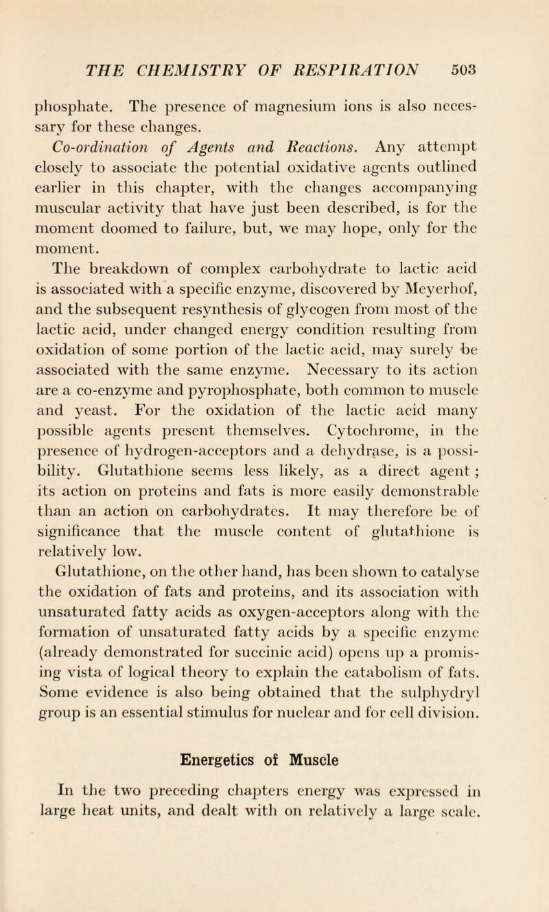 phosphate. The presence of magnesium ions is also neces¬ sary for these changes. Co-ordination of Agents and Reactions. Any attempt closely to associate the potential oxidative agents outlined earlier in this chapter, with the changes accompanying muscular activity that have just been described, is for the moment doomed to failure, but, we may hope, only for the moment. The breakdown of complex carbohydrate to lactic acid is associated with a specific enzyme, discovered by Meyerhof, and the subsequent resynthesis of glycogen from most of the lactic acid, under changed energy condition resulting from oxidation of some portion of the lactic acid, may surely be associated with the same enzyme. Necessary to its action are a co-enzyme and pyrophosphate, both common to muscle and yeast. For the oxidation of the lactic acid many possible agents present themselves. Cytochrome, in the presence of hydrogen-acceptors and a dehydrase, is a possi¬ bility. Glutathione seems less likely, as a direct agent ; its action on proteins and fats is more easily demonstrable than an action on carbohydrates. It may therefore be of significance that the muscle content of glutathione is relatively low. Glutathione, on the other hand, has been shown to catalyse the oxidation of fats and proteins, and its association with unsaturated fatty acids as oxygen-acceptors along with the formation of unsaturated fatty acids by a specific enzyme (already demonstrated for succinic acid) opens up a promis¬ ing vista of logical theory to explain the catabolism of fats. Some evidence is also being obtained that the sulphydryl group is an essential stimulus for nuclear and for cell division. Energetics of Muscle In the two preceding chapters energy was expressed in large heat units, and dealt with on relatively a large scale.