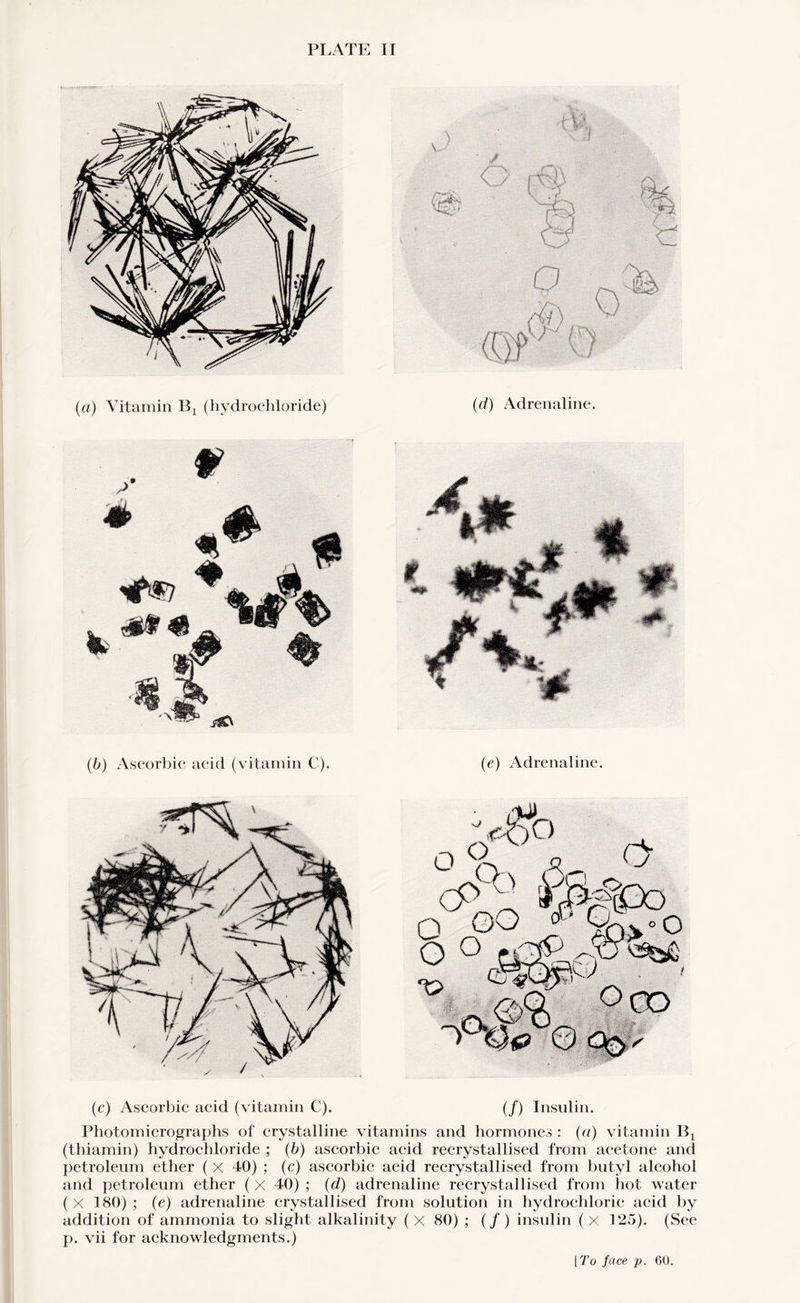 PLATE II (a) Vitamin Bx (hydrochloride) (cl) Adrenaline. (c) Ascorbic acid (vitamin C). (/) Insulin. Photomicrographs of crystalline vitamins and hormones : (a) vitamin Bx (thiamin) hydrochloride ; (b) ascorbic acid recrystallised from acetone and petroleum ether ( X 40) ; (c) ascorbic acid recrystallised from butyl alcohol and petroleum ether ( x 40) ; (d) adrenaline recrystallised from hot water ( X 180) ; (e) adrenaline crystallised from solution in hydrochloric acid by addition of ammonia to slight alkalinity ( X 80) ; (/) insulin ( x 125). (See p. vii for acknowledgments.) [To face p. 60.