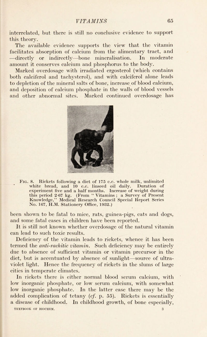 interrelated, but there is still no conclusive evidence to support this theory. The available evidence supports the view that the vitamin facilitates absorption of calcium from the alimentary tract, and —directly or indirectly—bone mineralisation. In moderate amount it conserves calcium and phosphorus to the body. Marked overdosage with irradiated ergosterol (which contains both calciferol and tachysterol), and with calciferol alone leads to depletion of the mineral salts of bone, increase of blood calcium, and deposition of calcium phosphate in the walls of blood vessels and other abnormal sites. Marked continued overdosage has Fig. 8. Rickets following a diet of 175 c.c. whole milk, unlimited white bread, and 10 c.c. linseed oil daily. Duration of experiment five and a half months. Increase of weight during this period 2-67 kg. (From “ Vitamins ; a Survey of Present Knowledge,” Medical Research Council Special Report Series No. 167, H.M. Stationery Office, 1932.) been shown to be fatal to mice, rats, guinea-pigs, cats and dogs, and some fatal cases in children have been reported. It is still not known whether overdosage of the natural vitamin can lead to such toxic results. Deficiency of the vitamin leads to rickets, whence it has been termed the anti-rachitic vitamin. Such deficiency may be entirely due to absence of sufficient vitamin or vitamin precursor in the diet, but is accentuated by absence of sunlight—source of ultra¬ violet light. Hence the frequency of rickets in the slums of large cities in temperate climates. In rickets there is either normal blood serum calcium, with low inorganic phosphate, or low serum calcium, with somewhat low inorganic phosphate. In the latter case there may be the added complication of tetany (cf. p. 55). Rickets is essentially a disease of childhood. In childhood growth, of bone especially, 3 TEXTBOOK OF BIOCHEM.
