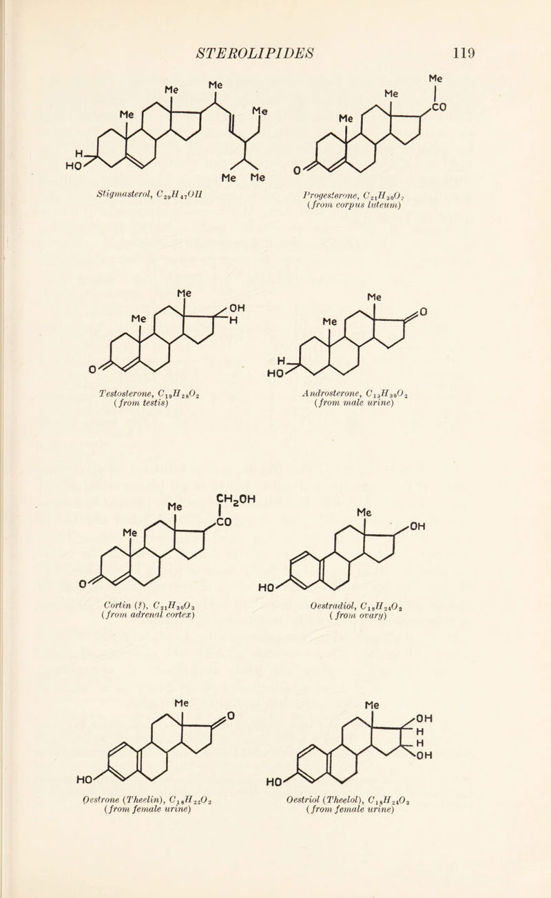 Me Me I CO Progesterone, C2XH3()0} (from corpus luteum) Me Testosterone, C19H2s02 (from testis) Androsterone, C13H30O2 (from male urine) Cortin (.*), C21H30O3 (from adrenal cortex) 0estradiol, ClsH2i02 (from ovary) Me Qestrone (Theelin), C,lsH.ii02 (from female urine) HO Oestriol (Theelol), C19H2i03 (from female urine)