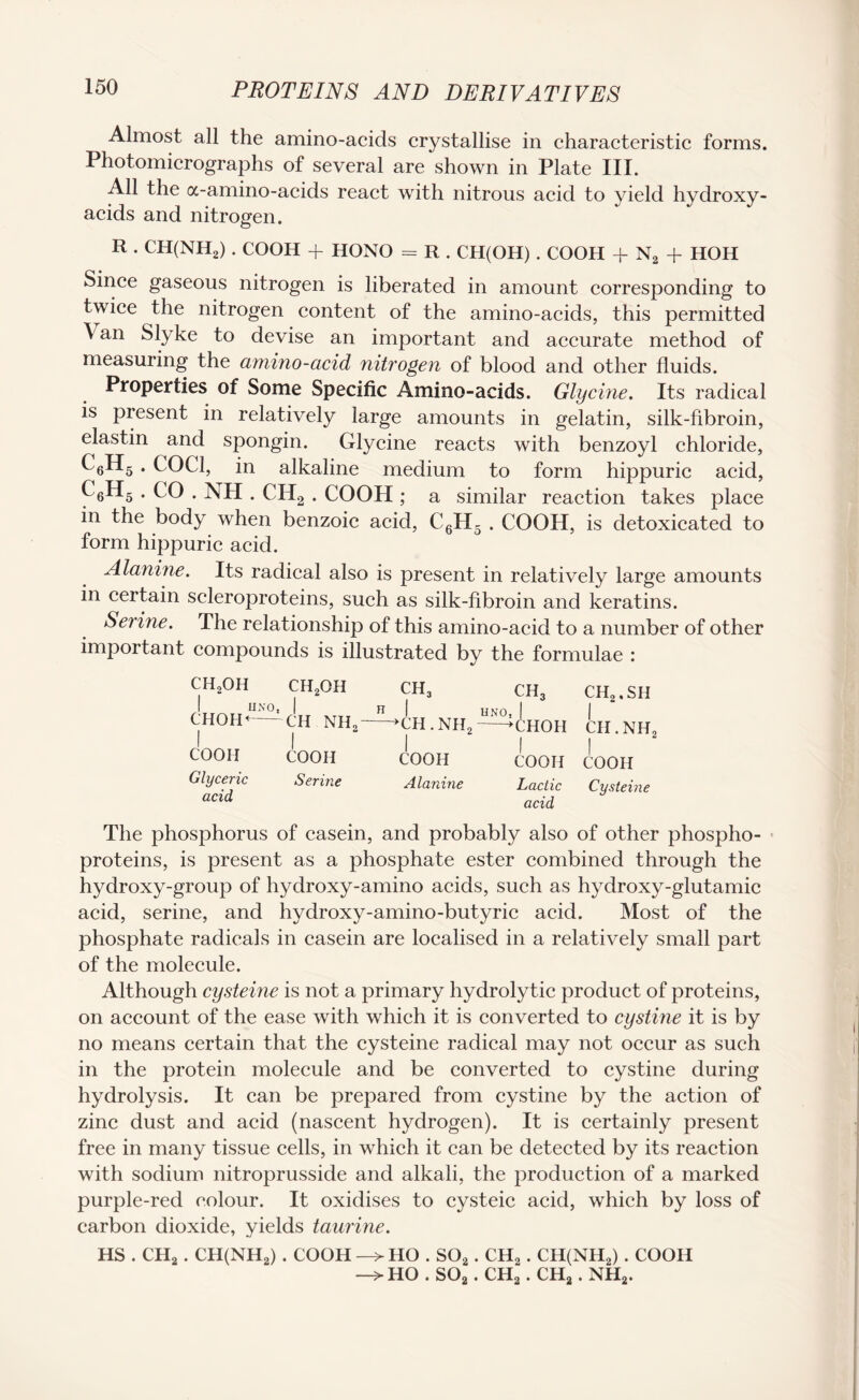 Almost all the amino-acids crystallise in characteristic forms. Photomicrographs of several are shown in Plate III. All the a-amino-acids react with nitrous acid to yield hydroxy- acids and nitrogen. R . CH(NH2) . COOH + HONO = R . CH(OH) . COOH -f N2 + HOH Since gaseous nitrogen is liberated in amount corresponding to twice the nitrogen content of the amino-acids, this permitted Van Slyke to devise an important and accurate method of measuring the amino-acid, nitrogen of blood and other fluids. Properties of Some Specific Amino-acids. Glycine. Its radical is present in relatively large amounts in gelatin, silk-fibroin, elastin and spongin. Glycine reacts with benzoyl chloride, ^6^-5 . COC1, in alkaline medium to form hippuric acid, C6H5 . CO . NH . CH2 . COOH ; a similar reaction takes place in the body when benzoic acid, C6H5 . COOH, is detoxicated to form hippuric acid. Alanine. Its radical also is present in relatively large amounts in certain scleroproteins, such as silk-fibroin and keratins. Serine. The relationship of this amino-acid to a number of other important compounds is illustrated by the formulae : ch2oh ch2oh ch3 ch3 UNO, CHOH<- | 1 CH NH.- | 2 H 1 —>ch.nh2 UNO, 1 —>CHOH COOH COOH 1 COOH 1 COOH Glyceric acid Serine Alanine Lactic acid ch2.sii I cii.nh2 I COOH Cysteine The phosphorus of casein, and probably also of other phospho- proteins, is present as a phosphate ester combined through the hydroxy-group of hydroxy-amino acids, such as hydroxy-glutamic acid, serine, and hydroxy-amino-butyric acid. Most of the phosphate radicals in casein are localised in a relatively small part of the molecule. Although cysteine is not a primary hydrolytic product of proteins, on account of the ease with which it is converted to cystine it is by no means certain that the cysteine radical may not occur as such in the protein molecule and be converted to cystine during hydrolysis. It can be prepared from cystine by the action of zinc dust and acid (nascent hydrogen). It is certainly present free in many tissue cells, in which it can be detected by its reaction with sodium nitroprusside and alkali, the production of a marked purple-red colour. It oxidises to cysteic acid, which by loss of carbon dioxide, yields taurine. HS . CH2 . CH(NH2) . COOH —> HO . S02. CH2 . CH(NH2) . COOH —> HO . S02 . CH2 . CHa. NH2.
