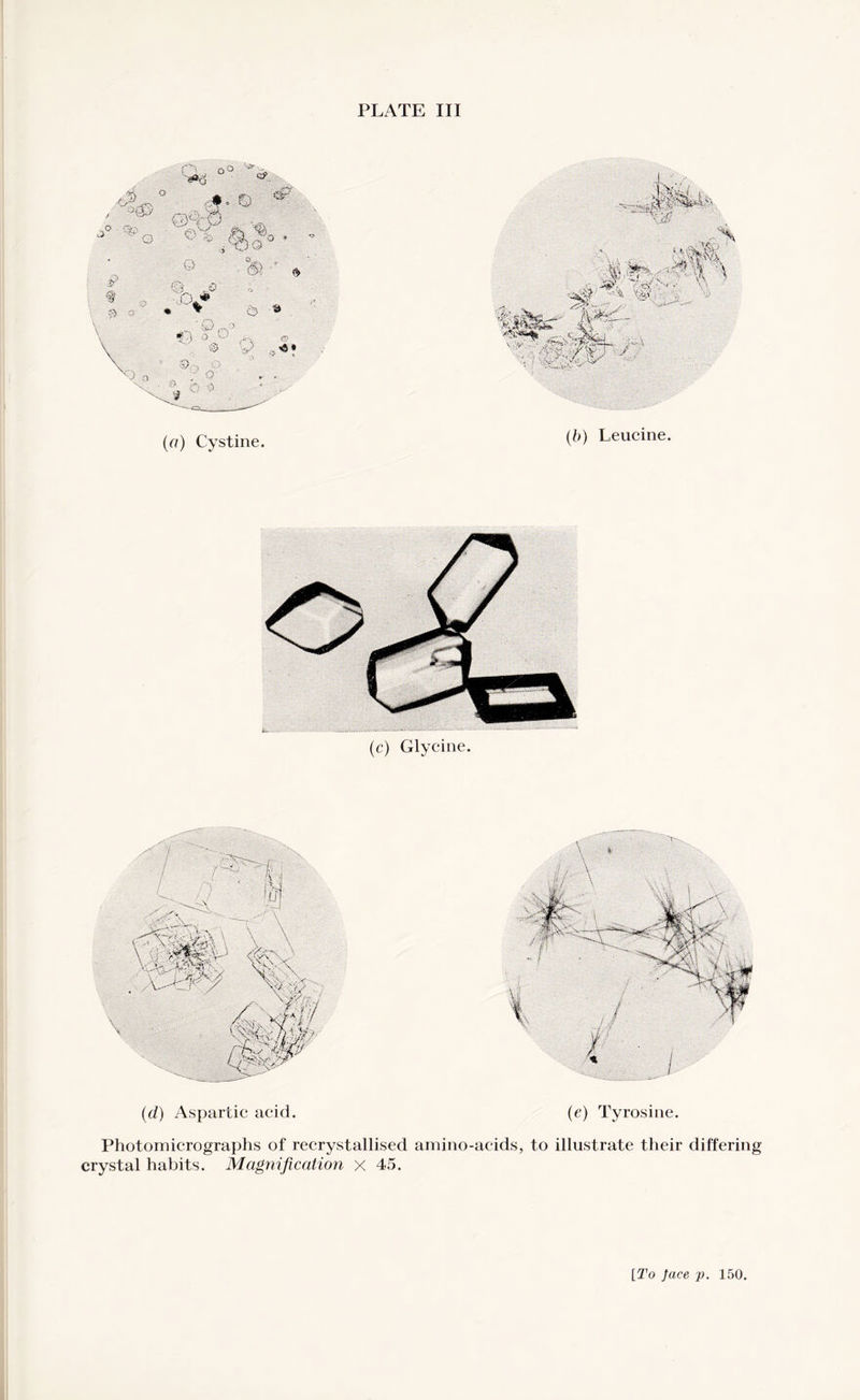 PLATE III (a) Cystine. (.b) Leucine. (c) Glycine. (d) Aspartic acid. (e) Tyrosine. Photomicrographs of recrystallised amino-acids, to illustrate their differing crystal habits. Magnification x 45. [To face p. 150.