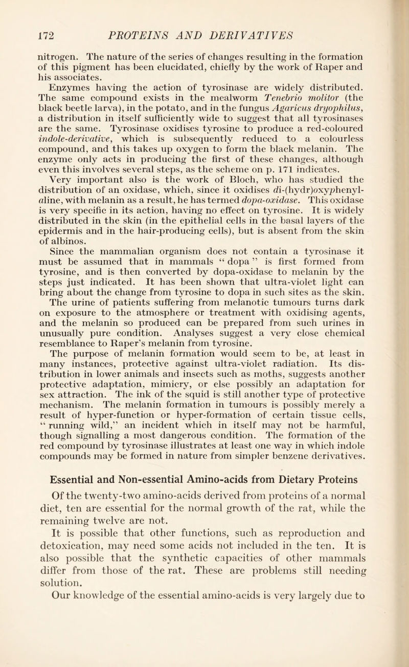 nitrogen. The nature of the series of changes resulting in the formation of this pigment has been elucidated, chiefly by the work of Raper and his associates. Enzymes having the action of tyrosinase are widely distributed. The same compound exists in the mealworm Tenebrio molitor (the black beetle larva), in the potato, and in the fungus Agaricus dryophilus, a distribution in itself sufficiently wide to suggest that all tyrosinases are the same. Tyrosinase oxidises tyrosine to produce a red-coloured indole-derivative, which is subsequently reduced to a colourless compound, and this takes up oxygen to form the black melanin. The enzyme only acts in producing the first of these changes, although even this involves several steps, as the scheme on p. 171 indicates. Very important also is the work of Bloch, who has studied the distribution of an oxidase, which, since it oxidises di-(hydr)oxy/ffienyl- aline, with melanin as a result, he has termed dopa-oxidase. This oxidase is very specific in its action, having no effect on tyrosine. It is widely distributed in the skin (in the epithelial cells in the basal layers of the epidermis and in the hair-producing cells), but is absent from the skin of albinos. Since the mammalian organism does not contain a tyrosinase it must be assumed that in mammals “ dopa ” is first formed from tyrosine, and is then converted by dopa-oxidase to melanin by the steps just indicated. It has been shown that ultra-violet light can bring about the change from tyrosine to dopa in such sites as the skin. The urine of patients suffering from melanotic tumours turns dark on exposure to the atmosphere or treatment with oxidising agents, and the melanin so produced can be prepared from such urines in unusually pure condition. Analyses suggest a very close chemical resemblance to Raper’s melanin from tyrosine. The purpose of melanin formation would seem to be, at least in many instances, protective against ultra-violet radiation. Its dis¬ tribution in lower animals and insects such as moths, suggests another protective adaptation, mimicry, or else possibly an adaptation for sex attraction. The ink of the squid is still another type of protective mechanism. The melanin formation in tumours is possibly merely a result of hyper-function or hyper-formation of certain tissue cells, “ running wild,” an incident which in itself may not be harmful, though signalling a most dangerous condition. The formation of the red compound by tyrosinase illustrates at least one way in which indole compounds may be formed in nature from simpler benzene derivatives. Essential and Non-essential Amino-acids from Dietary Proteins Of the twenty-two amino-acids derived from proteins of a normal diet, ten are essential for the normal growth of the rat, while the remaining twelve are not. It is possible that other functions, such as reproduction and detoxication, may need some acids not included in the ten. It is also possible that the synthetic capacities of other mammals differ from those of the rat. These are problems still needing solution. Our knowledge of the essential amino-acids is very largely due to