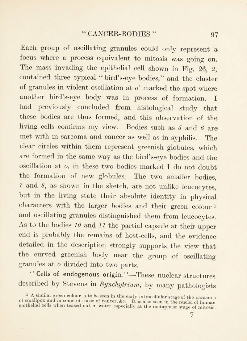 Each group of oscillating granules could only represent a focus where a process equivalent to mitosis was going on. The mass invading the epithelial cell shown in Fig. 26, 2, contained three typical “ bird’s-eye bodies,” and the cluster of granules in violent oscillation at o' marked the spot where another bird’s-eye body was in process of formation. I had previously concluded from histological study that these bodies are thus formed, and this observation of the living cells confirms my view. Bodies such as 5 and 6 are met with in sarcoma and cancer as well as in syphilis. The clear circles within them represent greenish globules, which are formed in the same way as the bird’s-eye bodies and the oscillation at o, in these two bodies marked I do not doubt the formation of new globules. The two smaller bodies, 7 and 8, as shown in the sketch, are not unlike leucocytes, but in the living state their absolute identity in physical characters with the larger bodies and their green colour 1 and oscillating granules distinguished them from leucocytes. As to the bodies 10 and 11 the partial capsule at their upper end is probably the remains of host-cells, and the evidence detailed in the description strongly supports the view that the curved greenish body near the group of oscillating granules at o divided into two parts. Cells of endogenous origin. ’ ’—These nuclear structures described by Stevens in Synchytrium, by many pathologists A similar green colour is to be seen in the early intracellular stage of the parasites of smallpox and in some of those of cancer, &c. It is also seen in the nuclei of human epithelial cells when teased out in water, especially at the metaphase stage of mitosis. 7