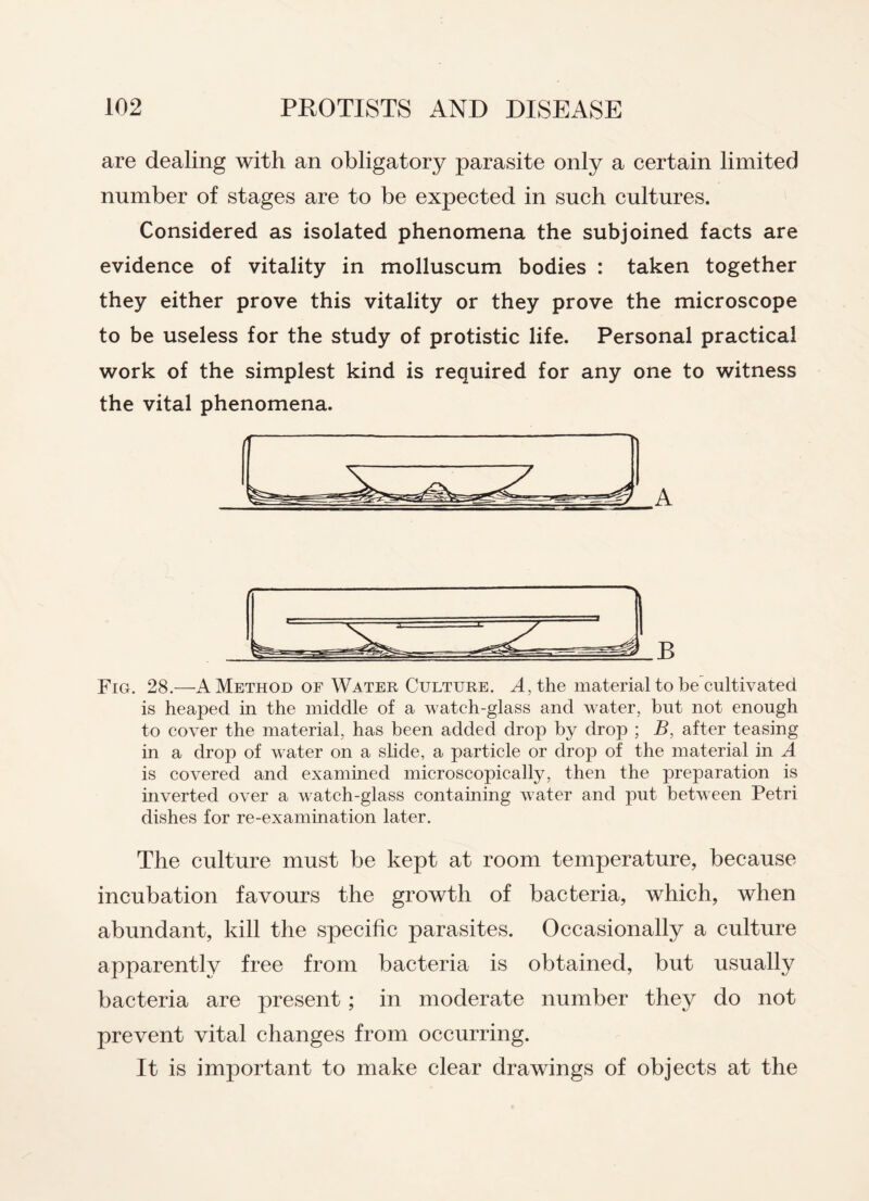 are dealing with an obligatory parasite only a certain limited number of stages are to be expected in such cultures. Considered as isolated phenomena the subjoined facts are evidence of vitality in molluscum bodies : taken together they either prove this vitality or they prove the microscope to be useless for the study of protistic life. Personal practical work of the simplest kind is required for any one to witness the vital phenomena. B Fig. 28.—A Method of Water Culture. A, the material to be cultivated is heaped in the middle of a watch-glass and water, but not enough to cover the material, has been added drop by drop ; B, after teasing in a drop of water on a slide, a particle or drop of the material in A is covered and examined microscopically, then the preparation is inverted over a wratch-glass containing water and put between Petri dishes for re-examination later. The culture must be kept at room temperature, because incubation favours the growth of bacteria, which, when abundant, kill the specific parasites. Occasionally a culture apparently free from bacteria is obtained, but usually bacteria are present ; in moderate number they do not prevent vital changes from occurring. It is important to make clear drawings of objects at the