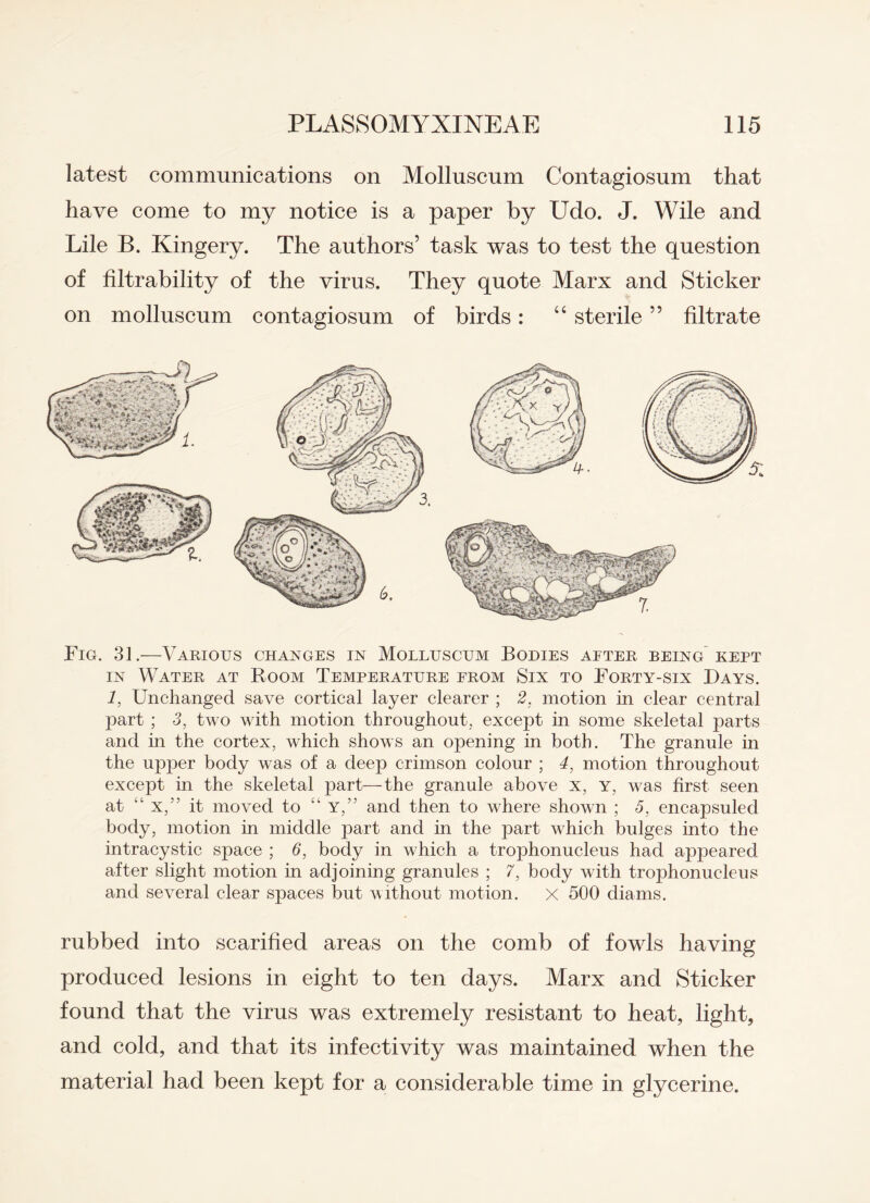 latest communications on Molluscum Contagiosum that have come to my notice is a paper by Udo. J. Wile and Lile B. Kingery. The authors’ task was to test the question of filtrability of the virus. They quote Marx and Sticker on molluscum contagiosum of birds: “ sterile ” filtrate Fig. 31.—Various changes in Molluscum Bodies alter being kept in Water at Room Temperature prom Six to Forty-six Days. 1, Unchanged save cortical layer clearer ; 2. motion in clear central part ; 3, two with motion throughout, except in some skeletal parts and in the cortex, which shows an opening in both. The granule in the upper body was of a deep crimson colour ; 4, motion throughout except in the skeletal part—the granule above x, y, was first seen at “ x,” it moved to “ Y,” and then to where shown ; 5, encapsuled body, motion in middle part and in the part which bulges into the intracystic space ; 6, body in which a trophonucleus had appeared after slight motion in adjoining granules ; 7, body with trophonucleus and several clear spaces but without motion. x 500 diams. rubbed into scarified areas on the comb of fowls having produced lesions in eight to ten days. Marx and Sticker found that the virus was extremely resistant to heat, light, and cold, and that its infectivity was maintained when the material had been kept for a considerable time in glycerine.