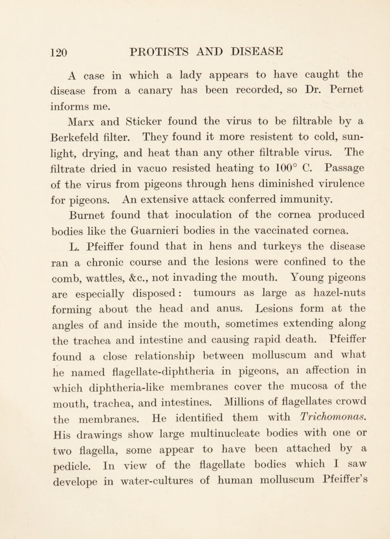 A case in which a lady appears to have caught the disease from a canary has been recorded, so Dr. Pernet informs me. Marx and Sticker found the virus to be filtrable by a Berkefeld filter. They found it more resistent to cold, sun¬ light, drying, and heat than any other filtrable virus. The filtrate dried in vacuo resisted heating to 100° C. Passage of the virus from pigeons through hens diminished virulence for pigeons. An extensive attack conferred immunity. Burnet found that inoculation of the cornea produced bodies like the Guarnieri bodies in the vaccinated cornea. L. Pfeiffer found that in hens and turkeys the disease ran a chronic course and the lesions were confined to the comb, wattles, <fec., not invading the mouth. Young pigeons are especially disposed: tumours as large as hazel-nuts forming about the head and anus. Lesions form at the angles of and inside the mouth, sometimes extending along the trachea and intestine and causing rapid death. Pfeiffer found a close relationship between molluscum and what he named flagellate-diphtheria in pigeons, an affection in which diphtheria-like membranes cover the mucosa of the mouth, trachea, and intestines. Millions of flagellates crowd the membranes. He identified them with TTichouioixas. His drawings show large multinucleate bodies with one or two flagella, some appear to have been attached by a pedicle. In view of the flagellate bodies which I saw develope in water-cultures of human molluscum Pfeiffer’s