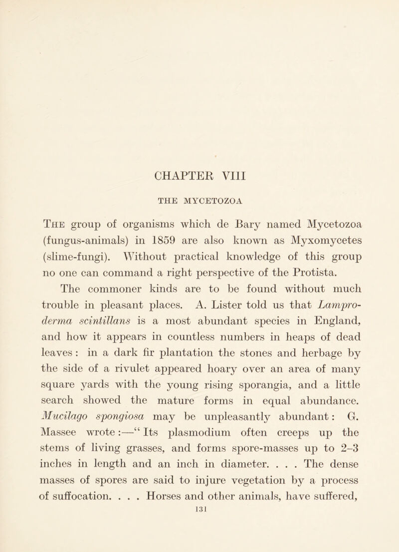 CHAPTER VIII THE MYCETOZOA The group of organisms which de Bary named Mycetozoa (fungus-animals) in 1859 are also known as Myxomycetes (slime-fungi). Without practical knowledge of this group no one can command a right perspective of the Protista. The commoner kinds are to be found without much trouble in pleasant places. A. Lister told us that Lampro- derma scintillans is a most abundant species in England, and how it appears in countless numbers in heaps of dead leaves : in a dark fir plantation the stones and herbage by the side of a rivulet appeared hoary over an area of many square yards with the young rising sporangia, and a little search showed the mature forms in equal abundance. Mucilago spongiosa may be unpleasantly abundant: G. Massee wrote:—“ Its plasmodium often creeps up the stems of living grasses, and forms spore-masses up to 2-3 inches in length and an inch in diameter. . . . The dense masses of spores are said to injure vegetation by a process of suffocation. . . . Horses and other animals, have suffered,