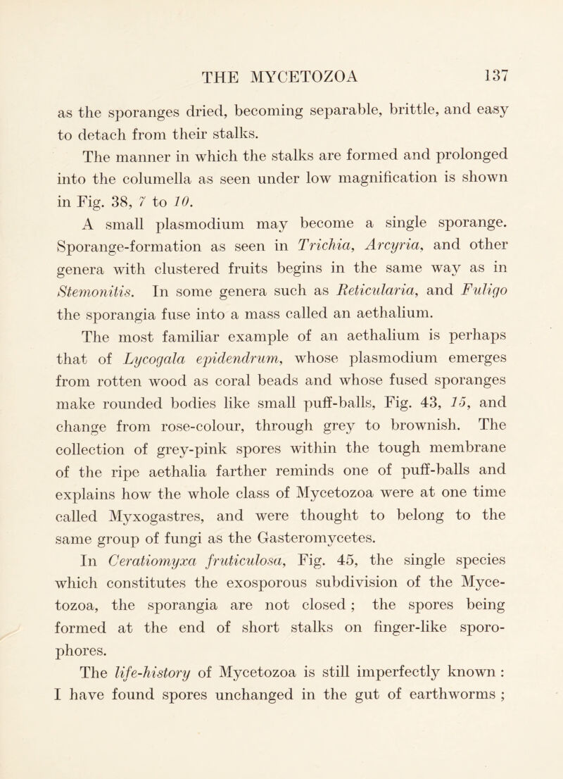 as the sporanges dried, becoming separable, brittle, and easy to detach from their stalks. The manner in which the stalks are formed and prolonged into the columella as seen under low magnification is shown in Fig. 38, 7 to 10. A small plasmodium may become a single sporange. Sporange-formation as seen in Trichia, Arcyria, and other genera with clustered fruits begins in the same way as in Stemonitis. In some genera such as Reticularia, and Fuligo the sporangia fuse into a mass called an aethalium. The most familiar example of an aethalium is perhaps that of Lycogala epidendrum, whose plasmodium emerges from rotten wood as coral beads and whose fused sporanges make rounded bodies like small puff-balls, Fig. 43, 15, and change from rose-colour, through grey to brownish. The collection of grey-pink spores within the tough membrane of the ripe aethalia farther reminds one of puff-balls and explains how the whole class of Mycetozoa were at one time called Myxogastres, and were thought to belong to the same group of fungi as the Gasteromycetes. In Ceratiomyxa fruticulosa, Fig. 45, the single species which constitutes the exosporous subdivision of the Myce¬ tozoa, the sporangia are not closed; the spores being formed at the end of short stalks on finger-like sporo- phores. The life-history of Mycetozoa is still imperfectly known : I have found spores unchanged in the gut of earthworms ;