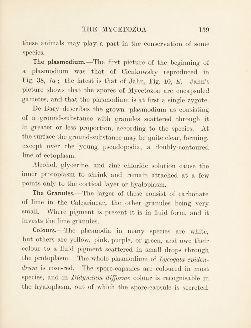 these animals may play a part in the conservation of some species. The plasmodium.—The first picture of the beginning of a plasmodium was that of Cienkowsky reproduced in Eig. 38, la ; the latest is that of Jahn, Eig. 40, E. Jahn’s picture shows that the spores of Mycetozoa are encapsuleci gametes, and that the plasmodium is at first a single zygote. De Bary describes the grown plasmodium as consisting of a ground-substance with granules scattered through it in greater or less proportion, according to the species. At the surface the ground-substance may be quite clear, forming, except over the young pseudopodia, a doubly-contoured line of ectoplasm. Alcohol, glycerine, and zinc chloride solution cause the inner protoplasm to shrink and remain attached at a few points only to the cortical layer or hyaloplasm. The Granules.—The larger of these consist of carbonate of lime in the Calcarineae, the other granules being very small. Where pigment is present it is in fluid form, and it invests the lime granules. Colours.—The plasmodia in many species are white, but others are yellow, pink, purple, or green, and owe their colour to a fluid pigment scattered in small drops through the protoplasm. The whole plasmodium of Lycogala epiden- drum is rose-red. The spore-capsules are coloured in most species, and in Didymium difforme colour is recognisable in the hyaloplasm, out of which the spore-capsule is secreted.