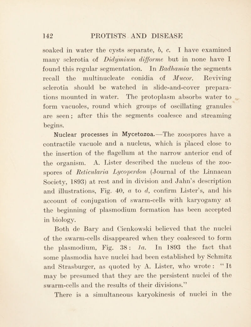 soaked in water the cysts separate, b, c. I have examined many sclerotia of Didymium difforme but in none have I found this regular segmentation. In Badkamia the segments recall the multinucleate eonidia of Mucor. Reviving sclerotia should be watched in slide-and-cover prepara¬ tions mounted in water. The protoplasm absorbs water to form vacuoles, round which groups of oscillating granules are seen; after this the segments coalesce and streaming begins. Nuclear processes in Mycetozoa.—The zoospores have a contractile vacuole and a nucleus, which is placed close to the insertion of the flagellum at the narrow anterior end of the organism. A. Lister described the nucleus of the zoo¬ spores of Beticularia Ly coper don (Journal of the Linnaean Society, 1893) at rest and in division and Jahn’s description and illustrations, Fig, 40, a to d, confirm Lister’s, and his account of conjugation of swarm-cells with karyogamy at the beginning of plasmodium formation has been accepted in biology. Both de Bary and Cienkowski believed that the nuclei of the swarm-cells disappeared when they coalesced to form the plasmodium, Fig. 38 : la. In 1893 the fact that some plasmodia have nuclei had been established by Schmitz and Strasburger, as quoted by A. Lister, who wrote : “It may be presumed that they are the persistent nuclei of the swarm-cells and the results of their divisions.” There is a simultaneous karyokinesis of nuclei in the