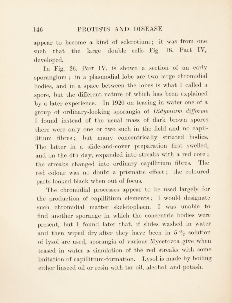 appear to become a kind of sclerotium ; it was from one such that the large double cells Fig. 18, Part TV, developed. In Eig. 26, Part IV, is shown a section of an early sporangium ; in a plasmodial lobe are two large chromidial bodies, and in a space between the lobes is what I called a spore, but the different nature of which has been explained by a later experience. In 1920 on teasing in water one of a group of ordinary-looking sporangia of Didymium difforme I found instead of the usual mass of dark brown spores there were only one or two such in the held and no capil- litium fibres ; but many concentrically striated bodies. The latter in a slide-and-cover preparation first swelled, and on the 4th day, expanded into streaks with a red core ; the streaks changed into ordinary capillitium fibres. The red colour was no doubt a prismatic effect ; the coloured parts looked black when out of focus. The chromidial processes appear to be used largely for the production of capillitium elements ; I would designate such chromidial matter skeletoplasm. I was unable to find another sporange in which the concentric bodies were present, but I found later that, if slides washed in water and then wiped dry after they have been in 5 % solution of lysol are used, sporangia of various Mycetozoa give when teased in water a simulation of the red streaks with some imitation of capillitium-formation. Lysol is made by boiling either linseed oil or resin with tar oil, alcohol, and potash.