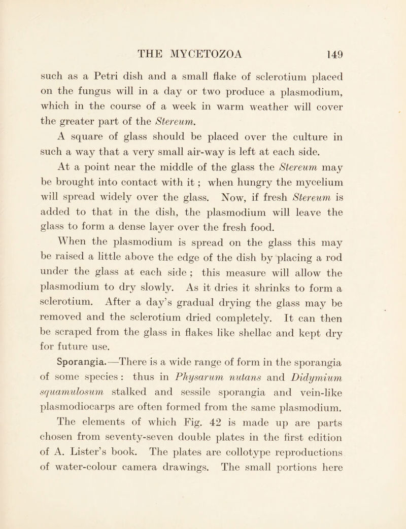 such as a Petri dish and a small flake of sclerotium placed on the fungus will in a day or two produce a plasmodium, which in the course of a week in warm weather will cover the greater part of the Stereum. A square of glass should be placed over the culture in such a way that a very small air-way is left at each side. At a point near the middle of the glass the Stereum may be brought into contact with it; when hungry the mycelium will spread widely over the glass. Now, if fresh Stereum is added to that in the dish, the plasmodium will leave the glass to form a dense layer over the fresh food. When the plasmodium is spread on the glass this may be raised a little above the edge of the dish by placing a rod under the glass at each side ; this measure will allow the plasmodium to dry slowly. As it dries it shrinks to form a sclerotium. After a day’s gradual drying the glass may be removed and the sclerotium dried completely. It can then be scraped from the glass in flakes like shellac and kept dry for future use. Sporangia.—There is a wide range of form in the sporangia of some species : thus in Physarum nutans and Diclymium squamulosum stalked and sessile sporangia and vein-like plasmodiocarps are often formed from the same plasmodium. The elements of which Fig. 42 is made up are parts chosen from seventy-seven double plates in the first edition of A. Lister’s book. The plates are collotype reproductions of water-colour camera drawings. The small portions here