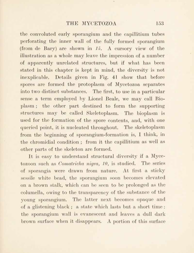 the convoluted early sporangium and the capillitium tubes perforating the inner wall of the fully formed sporangium (from de Bary) are shown in 15. A cursory view of the illustration as a whole may leave the impression of a number of apparently unrelated structures, but if what has been stated in this chapter is kept in mind, the diversity is not inexplicable. Details given in Fig. 41 show that before spores are formed the protoplasm of Mycetozoa separates into two distinct substances. The first, to use in a particular sense a term employed by Lionel Beale, we may call Bio¬ plasm ; the other part destined to form the supporting structures may be called Skeletoplasm. The bioplasm is used for the formation of the spore contents, and, with one queried point, it is nucleated throughout. The skeletoplasm from the beginning of sporangium-formation is, I think, in the chromidial condition ; from it the capillitium as well as other parts of the skeleton are formed. It is easy to understand structural diversity if a Myce- tozoon such as Comatricha nigra, 10, is studied. The series of sporangia were drawn from nature. At first a sticky sessile white bead, the sporangium soon becomes elevated on a brown stalk, which can be seen to be prolonged as the columella, owing to the transparency of the substance of the young sporangium. The latter next becomes opaque and of a glistening black ; a state which lasts but a short time : the sporangium wall is evanescent and leaves a dull dark brown surface when it disappears. A portion of this surface