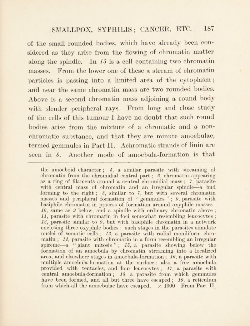 of the small rounded bodies, which have already been con¬ sidered as they arise from the flowing of chromatin matter along the spindle. In 15 is a cell containing two chromatin masses. From the lower one of these a stream of chromatin particles is passing into a limited area of the cytoplasm ; and near the same chromatin mass are two rounded bodies. Above is a second chromatin mass adjoining a round body with slender peripheral rays. From long and close study of the cells of this tumour I have no doubt that such round bodies arise from the mixture of a chromatic and a non- chromatic substance, and that they are minute amoebulae, termed gemmules in Part II. Achromatic strands of linin are seen in 8. Another mode of amoebula-formation is that the amoeboid character ; 5, a similar parasite with streaming of chromatin from the chromidial central part ; 6, chromatin appearing as a ring of filaments around a central chromidial mass ; 7, parasite with central mass of chromatin and an irregular spindle—a bud forming to the right ; 8, similar to 7, but with several chromatin masses and peripheral formation of “ gemmules ” ; 9, parasite with basiphile chromatin in process of formation around oxyphile masses ; 10, same as 9 below, and a spindle with ordinary chromatin above ; 11, parasite with chromatin in foci somewhat resembling leucocytes ; 12, parasite similar to 9, but with basiphile chromatin in a network enclosing three oxyphile bodies : such stages in the parasites simulate nuclei of somatic cells ; 13, a parasite with radial moniliform chro¬ matin ; 14, parasite with chromatin in a form resembling an irregular spireme—a giant mitosis ” ; 15, a parasite showing below the formation of an amoebula by chromatin streaming into a localized area, and elsewhere stages in amoebula-formation; 16, a parasite with multiple amoebula-formation at the surface : also a free amoebula provided with tentacles, and four leucocytes ; 17, a parasite with central amoebula-formation ; 18, a parasite from which gemmules have been formed, and all but three have escaped ; 19, a reticulum from which all the amoebulae have escaped. X 1000 From Part II