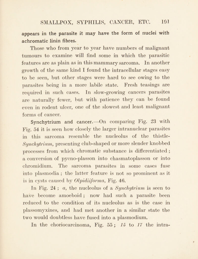 appears in the parasite it may have the form of nuclei with achromatic linin fibres. Those who from year to year have numbers of malignant tumours to examine will find some in which the parasitic features are as plain as in this mammary sarcoma. In another growth of the same kind I found the intracellular stages easy to be seen, but other stages were hard to see owing to the parasites being in a more labile state. Fresh teasings are required in such cases. In slow-growing cancers parasites are naturally fewer, but with patience they can be found even in rodent ulcer, one of the slowest and least malignant forms of cancer. Synchytrium and cancer.—On comparing Fig. 23 with Fig. 54 it is seen how closely the larger intranuclear parasites in this sarcoma resemble the nucleolus of the thistle- Synchytrium, presenting club-shaped or more slender knobbed processes from which chromatic substance is differentiated ; a conversion of pycno-plasson into chasmatoplasson or into chromidium. The sarcoma parasites in some cases fuse into plasmodia ; the latter feature is not so prominent as it is in cysts caused by Olpidiiforma, Fig. 46. In Fig. 24 ; a, the nucleolus of a Synchytrium is seen to have become amoeboid; now had such a parasite been reduced to the condition of its nucleolus as is the case in plassomyxines, and had met another in a similar state the two would doubtless have fused into a plasmodium.