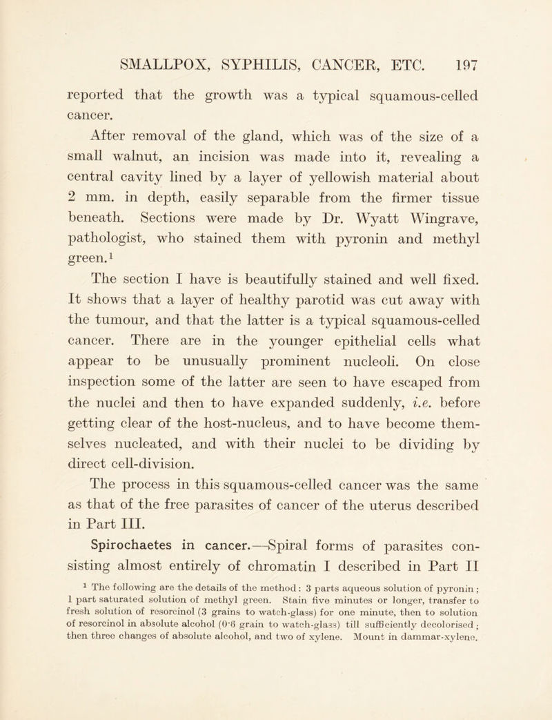 reported that the growth was a typical squamous-celled cancer. After removal of the gland, which was of the size of a small walnut, an incision was made into it, revealing a central cavity lined by a layer of yellowish material about 2 mm. in depth, easily separable from the firmer tissue beneath. Sections were made by Dr. Wyatt Wingrave, pathologist, who stained them with pyronin and methyl green.1 The section I have is beautifully stained and well fixed. It shows that a layer of healthy parotid was cut away with the tumour, and that the latter is a typical squamous-celled cancer. There are in the younger epithelial cells what appear to be unusually prominent nucleoli. On close inspection some of the latter are seen to have escaped from the nuclei and then to have expanded suddenly, i.e. before getting clear of the host-nucleus, and to have become them¬ selves nucleated, and with their nuclei to be dividing by direct cell-division. The process in this squamous-celled cancer was the same as that of the free parasites of cancer of the uterus described in Part III. Spirochaetes in cancer.—Spiral forms of parasites con¬ sisting almost entirely of chromatin I described in Part II 1 The following are the details of the method : 3 parts aqueous solution of pyronin ; 1 part saturated solution of methyl green. Stain five minutes or longer, transfer to fresh solution of resorcinol (3 grains to watch-glass) for one minute, then to solution of resorcinol in absolute alcohol (0*6 grain to watch-glass) till sufficiently decolorised • then three changes of absolute alcohol, and two of xylene. Mount in dammar-xylene.