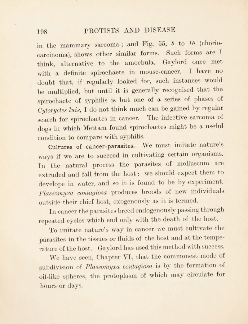 in the mammary sarcoma ; and Fig. 55, 8 to 10 (choiio- carcinoma), shows other similar forms. Such forms are I think, alternative to the amoebula. Gaylord once met with a definite spirochaete in mouse-cancer. I have no doubt that, if regularly looked for, such instances would be multiplied, but until it is generally recognised that the spirochaete of syphilis is but one of a series of phases of Cytoryctes luis, I do not think much can be gained by legulai search for spirochaetes in cancer. The infective sarcoma of dogs in which Mettam found spirochaetes might be a useful condition to compare with syphilis. Cultures of cancer-parasites.—We must imitate natures ways if we are to succeed in cultivating certain organisms. In the natural process the parasites of molluscum are extruded and fall from the host: we should expect them to develope in water, and so it is found to be by experiment. Plassomyxa contagiosa produces broods of new individuals outside their chief host, exogenously as it is termed. In cancer the parasites breed endogenously passing through repeated cycles which end only with the death of the host. To imitate nature’s way in cancer we must cultivate the parasites in the tissues or fluids of the host and at the tempe¬ rature of the host. Gaylord has used this method with success. We have seen, Chapter VI, that the commonest mode of subdivision of Plassomyxa contagiosa is by the formation of oil-like spheres, the protoplasm of which may circulate for hours or days.