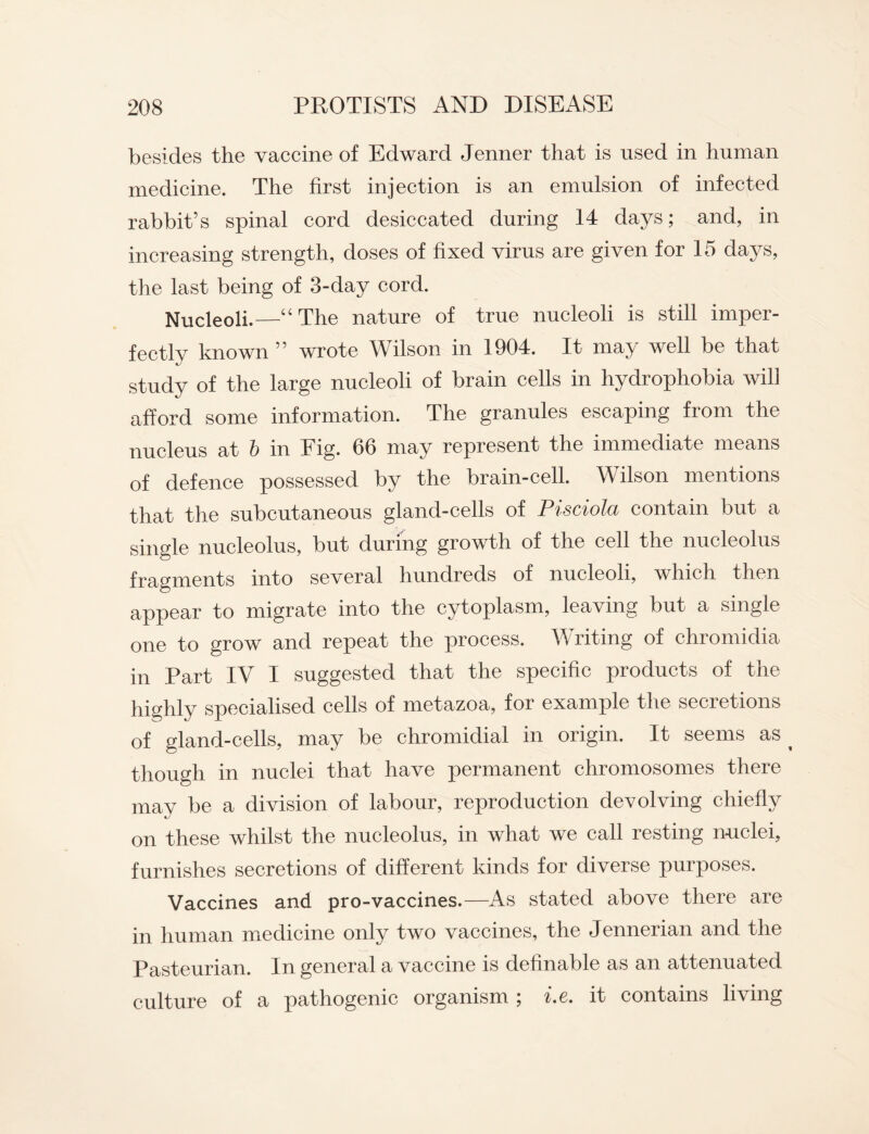 besides the vaccine of Edward Jenner that is used in human medicine. The first injection is an emulsion of infected rabbit’s spinal cord desiccated during 14 days; and, in increasing strength, doses of fixed virus are given for 15 days, the last being of 3-day cord. Nucleoli.—“The nature of true nucleoli is still imper¬ fectly known ” wrote Wilson in 1904. It may well be that study of the large nucleoli of brain cells in hydrophobia will afford some information. The granules escaping from the nucleus at b in Fig. 66 may represent the immediate means of defence possessed by the brain-cell. Wilson mentions that the subcutaneous gland-cells of Pisciola contain but a single nucleolus, but during growth of the cell the nucleolus fragments into several hundreds of nucleoli, which then appear to migrate into the cytoplasm, leaving but a single one to grow and repeat the process. Writing of chromidia in Part IV I suggested that the specific products of the highly specialised cells of metazoa, for example the secretions of gland-cells, may be chromidial in origin. It seems as _ though in nuclei that have permanent chromosomes there mav be a division of labour, reproduction devolving chiefly on these whilst the nucleolus, in what we call resting nuclei, furnishes secretions of different kinds for diverse purposes. Vaccines and pro-vaccines.—As stated above there are in human medicine only two vaccines, the Jennerian and the Pasteurian. In general a vaccine is definable as an attenuated culture of a pathogenic organism ; i.e. it contains living