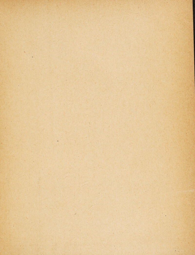 V \ \ y ■ ■» v / \ i \ . i t