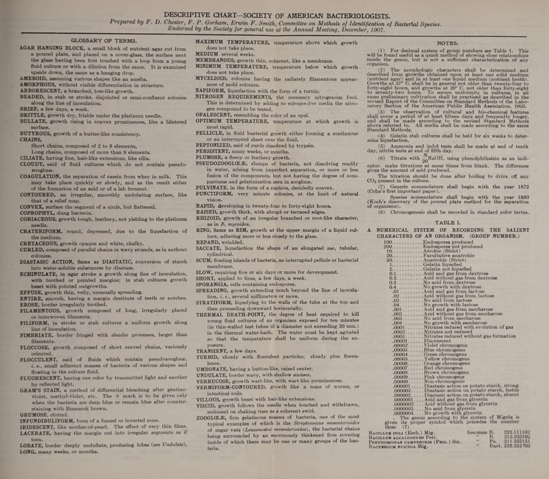 DESCRIPTIVE CHART—SOCIETY OF AMERICAN BACTERIOLOGISTS. Prepared by F. D. Chester, F. P. Gorham, Erwin F. Smith, Committee on Methods of Identification of Bacterial Species. Endorsed by the Society for general use at the Annual Meeting, December, 1907. GLOSSARY OF TERMS. AGAR HANGING BLOCK, a small block of nutrient agar cut from a poured plate, and placed on a cover-glass, the surface next the glass having been first touched with a loop from a young fluid culture or with a dilution from the same. It is examined upside down, the same as a hanging drop. AMEBOID, assuming various shapes like an arneba. AMORPHOUS, without visible differentiation in structure. ARBORESCENT, a branched, tree-like growth. BEADED, in stab or stroke, disjointed or semi-confluent colonies along the line of inoculation. BRIEF, a few days, a week. BRITTLE, growth dry, friable under the platinum needle. BULLATE, growth rising in convex prominences, like a blistered surface. BUTYROUS, growth of a butter-like consistency. CHAINS, Short chains, composed of 2 to 8 elements. Long chains, composed of more than 8 elements. CILIATE, having fine, hair-like extensions, like cilia. CLOUDY, said of fluid cultures which do not contain pseudo- zooglcese. COAGULATION, the separation of casein from whey in milk. This may take place quickly or slowly, and as the result either of the formation of an acid or of a lab ferment. CONTOURED, an irregular, smoothly undulating surface, like that of a relief map. CONVEX, surface the segment of a circle, but flattened. COPROPHYL, dung bacteria. CORIACEOUS, growth tough, leathery, not yielding to the platinum needle. CRATERIFORM, round, depressed, due to the liquefaction of the medium. CRETACEOUS, growth opaque and white, chalky. CURLED, composed of parallel chains in wavy strands, as in anthrax colonies. DLASTASIC ACTION, Same as DIASTATIC, conversion of starch into water-soluble substances by diastase. ECHINULATE, in agar stroke a growth along line of inoculation, with toothed or pointed margins; in stab cultures growth beset with pointed outgrowths. EFFUSE, growth thin, veily, unusually spreading. ENTIRE, smooth, having a margin destitute of teeth or notches. EROSE, border irregularly toothed. FILAMENTOUS, growth composed of long, irregularly placed or interwoven filaments. FILIFORM, in stroke or stab cultures a uniform growth along line of inoculation. FIMBRIATE, border fringed with slender processes, larger than filaments. FLOCCOSE, growth composed of short curved chains, variously oriented. FLOCCULENT, said of fluids which contain pseudozooglmse, ». e., small adherent masses of bacteria of various shapes and floating in the culture fluid. FLUORESCENT, having one color by transmitted light and another by reflected light. GRAM’S STAIN, a method of differential bleaching after gentian- violet, methyl-violet, etc. The + mark is to be given only when the bacteria are deep blue or remain blue after counter- staining with Bismarck brown. GRUMOSE, clotted. INFUNDIBULIFORM, form of a funnel or inverted cone. IRIDESCENT, like mother-of-pearl. The effect of very thin films. LACERATE, having the margin cut into irregular segments as if torn. LOBATE, border deeply undullate, producing lobes (see Undulate). LONG, many weeks, or months. MAXIMUM TEMPERATURE, temperature above which growth does not take place. MEDIUM several weeks. MEMBRANOUS, growth thin, coherent, like a membrane. MINIMUM TEMPERATURE, temperature below which growth does not take place. MYCELIOID, colonies having the radiately filamentous appear¬ ance of mold colonies. NAPIFORM, liquefaction with the form of a turnip. NITROGEN REQUIREMENTS, the necessary nitrogenous food. This is determined by adding to nitrogen-free media the nitro¬ gen compound to be tested. OPALESCENT, resembling the color of an opal. OPTIMUM TEMPERATURE, temperature at which growth is most rapid. PELLICLE, in fluid bacterial growth either forming a continuous or an interrupted sheet over the fluid. PEPTONIZED, said of curds dissolved by trypsin. PERSISTENT, many weeks, or months. PLUMOSE, a fleecy or feathery growth. PSEUDOZOOGLCEAi, clumps of bacteria, not dissolving readily in water, arising from imperfect separation, or more or less fusion of the components, but not having the degree of com¬ pactness and gelatinization seen in zoogloese. PULVINATE, in the form of a cushion, decidedly convex. PUNCTIFORM, very minute colonies, at the limit of natural vision. RAPID, developing in twenty-four to forty-eight hours. RAISED, growth thick, with abrupt or terraced edges. RHIZOID, growth of an irregular branched or root-like character, as in B. mycoides. RING, Same as RIM, growth at the upper margin of a liquid cul¬ ture, adhering more or less closely to the glass. REPAND, wrinkled. SACCATE, liquefaction the shape of an elongated sac, tubular, cylindrical. SCUM, floating islands of bacteria, an interrupted pellicle or bacterial membrane. SLOW, requiring five or six days or more for development. SHORT, applied to time, a few days, a week. SPORANGIA, cells containing endospores. SPREADING, growth extending much beyond the line of inocula¬ tion, i. e.. several millimeters or more. STRATIFORM, liquefying to the walls of the tube at the top and then proceeding downward horizontally. THERMAL DEATH-POINT, the degree of heat required to kill young fluid cultures of an organism exposed for ten minutes (in thin-walled test tubes of a diameter not exceeding 20 mm.) in the thermal water-bath. The water must be kept agitated so that the temperature shall be uniform during the ex¬ posure. TRANSIENT, a few days. TURBID, cloudy with flocculent particles; cloudy plus floccu- lence. UMBONATE, having a button-like, raised center. UNDULATE, border wavy, with shallow sinuses. VERRUCOSE, growth wart-like, with wart-like prominences. VERMIFORM-CONTOURED, growth like a mass of worms, or intestinal coils. VILLOUS, growth beset with hair-like extensions. VISCID, growth follows the needle when touched and withdrawn, sediment on shaking rises as a coherent swirl. ZOOGLCEZE, firm gelatinous masses of bacteria, one of the most typical examples of which is the Streptococcus mesenlerioides of sugar vats (Leuconostoc mesenlerioides), the bacterial chains being surrounded by an enormously thickened firm covering inside of which there may be one or many groups of the bac¬ teria. NOTES. (1) For decimal system of group numbers see Table 1. This will be found useful as a quick method of showing close relationships inside the genus, but is not a sufficient characterization of any organism. (2) The morphologic characters shall be determined and described from growths obtained upon at least one solid medium (nutrient agar) and in at least one liquid medium (nutrient broth). Growths at 37° C. shall be in general not older than twenty-four to forty-eight hours, and growths at 20° C. not older than forty-eight to seventy-two hours. To secure uniformity in cultures, in all cases preliminary cultivation shall be practised as described in the reviseci Report of the Committee on Standard Methods of the Labo¬ ratory Section of the American Public Health Association, 1905. (3) The observation of cultural and bio-chemical features shall cover a period of at least fifteen days and frequently longer, and shall be made according to the revised Standard Methods above referred to. All media shall be made according to the same Standard Methods. (4) Gelatin stab cultures shall be held for six weeks to deter¬ mine liquefaction. (5) Ammonia and indol tests shall be made at end of tenth day, nitrite tests at end of fifth day. N (6) Titrate with ^NaOH, using phenolphthalein as an indi¬ cator: make titrations at same times from blank. The difference gives the amount of acid produced. The titration should be done after boiling to drive off any CO2 present in the culture. (7) Generic nomenclature shall begin with the year 1872 (Cohn’s first important paper). Species nomenclature shall begin with the year 1880 (Koch’s discovery of the poured plate method for the separation of organisms). (8) Chromogenesis shall be recorded in standard color terms. TABLE I. A NUMERICAL SYSTEM OF RECORDING THE SALIENT CHARACTERS OF AN ORGANISM. (GROUP NUMBER.) 100.Endospores produced 200.Endospores not producer! 10.Aerobic (Strict) 20.Facultative anaerobic 30.Anaerobic (Strict) 1 .Gelatin liquefied 2 .Gelatin not liquefied 0.1.. Acid and gas from dextrose 0.2.Acid without gas from dextrose 0.3.No acid from dextrose 0.4.No growth with dextrose .01.Acid and gas from lactose .02.Acid without gas from lactose .03.No acid from lactose .04..No growth with lactose .001.Acid and gas from saccharose .002.Acid without gas from saccharose .003.No acid from_saccharose .004.No growth with saccharose .0001.Nitrates reduced with evolution of gas .0002.Nitrates not reduced .0003.Nitrates reduced without gas formation .00001.Fluorescent .00002.Violet chromogens .00003.Blue chromogems .00004.Green chromogens .00005.Yellow ehromogeus .00006.Orange chromogens .00007.Red ehromogeus .00008.Brown chromogens .00009.Pink chromogens .00000.N on-chromogenic .000001.Diastasic action on potato starch, strong .000002.Diastasic action on potato starch, feeble .000003.Diastasic action on potato starch, absent .0000001.... Acid and gas from glycerin .0000002. . . .Acid without gas from glycerin .0000003. . . .No acid from glycerin .0000004. . . .No growth with glycerin . The genus according to the system of Migula is given its proper symbol which precedes the number thus: (7) Bacillus coli (Esch.) Mig. becomes B. 222.111102 Bacillus alcaliqenkb Petr.  B. 212.333102 Pseudomonas campkstris (Pam.) Srn. *' Ps. 211 333151 Bacterium suicida Mig. “ Bact. 222.232 703