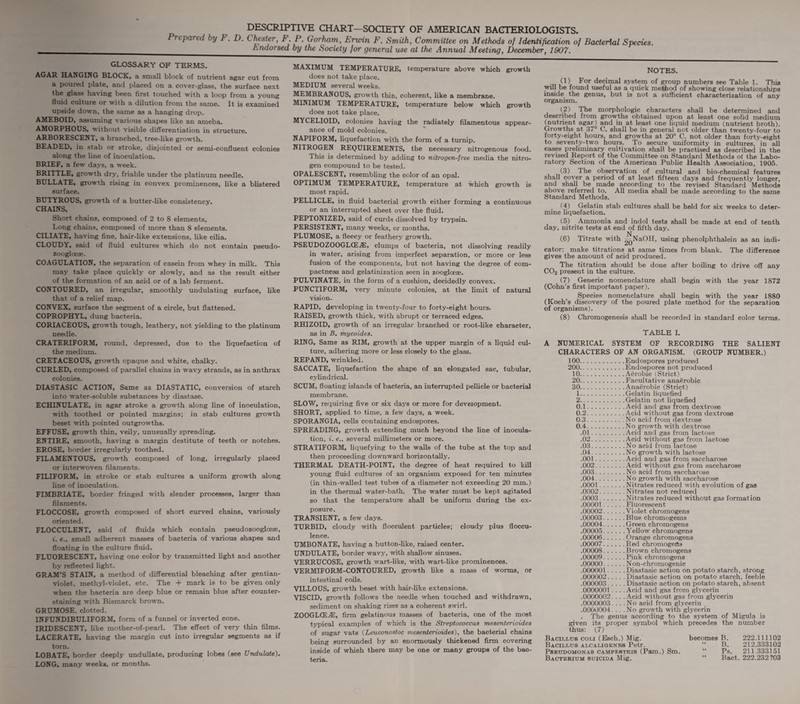 DESCRIPTIVE CHART—SOCIETY OF AMERICAN BACTERIOLOGISTS. Prepared by F. D. Chester, F. P. Gorham, Erwin F. Smith, Committee on Methods of Identification of Bacterial Species. Endorsed by the Society for general use at the Annual Meeting, December, 1907. GLOSSARY OF TERMS. AGAR HANGING BLOCK, a small block of nutrient agar cut from a poured plate, and placed on a cover-glass, the surface next the glass having been first touched with a loop from a young fluid culture or with a dilution from the same. It is examined upside down, the same as a hanging drop. AMEBOID, assuming various shapes like an ameba. AMORPHOUS, without visible differentiation in structure. ARBORESCENT, a branched, tree-like growth. BEADED, in stab or stroke, disjointed or senu-confluent colonies along the line of inoculation. BRIEF, a few days, a week. BRITTLE, growth dry, friable under the platinum needle. BULLATE, growth rising in convex prominences, like a blistered surface. BUTYROUS, growth of a butter-like consistency. CHAINS, Short chains, composed of 2 to 8 elements, Long chains, composed of more than 8 elements. CILIATE, having fine, hair-like extensions, like cilia. CLOUDY, said of fluid cultures which do not contain pseudo- zoogloeae. COAGULATION, the separation of casein from whey in milk. This may take place quickly or slowly, and as the result either of the formation of an acid or of a lab ferment. CONTOURED, an irregular, smoothly undulating surface, like that of a relief map. CONVEX, surface the segment of a circle, but flattened. COPROPHYL, dung bacteria. CORIACEOUS, growth tough, leathery, not yielding to the platinum needle. CRATERIFORM, round, depressed, due to the liquefaction of the medium. CRETACEOUS, growth opaque and white, chalky. CURLED, composed of parallel chains in wavy strands, as in anthrax colonies. DIASTASIC ACTION, Same as DIASTATIC, conversion of starch into water-soluble substances by diastase. ECHINULATE, in agar stroke a growth along line of inoculation, with toothed or pointed margins; in stab cultures growth beset with pointed outgrowths. EFFUSE, growth thin, veily, unusually spreading. ENTIRE, smooth, having a margin destitute of teeth or notches. EROSE, border irregularly toothed. FILAMENTOUS, growth composed of long, irregularly placed or interwoven filaments. FILIFORM, in stroke or stab cultures a uniform growth along line of inoculation. FIMBRIATE, border fringed with slender processes, larger than filaments. FLOCCOSE, growth composed of short curved chains, variously oriented. FLOCCULENT, said of fluids which contain pseudozooglcese, i. e., small adherent masses of bacteria of various shapes and floating in the culture fluid. FLUORESCENT, having one color by transmitted light and another by reflected light. GRAM’S STAIN, a method of differential bleaching after gentian- violet, methyl-violet, etc. The + mark is to be given only when the bacteria are deep blue or remain blue after counter- staining with Bismarck brown. GRUMOSE, clotted. INFUNDIBULIFORM, form of a funnel or inverted cone. IRIDESCENT, like mother-of-pearl. The effect of very thin films. LACERATE, having the margin cut into irregular segments as if torn. LOBATE, border deeply undullate, producing lobes (see Undulate). LONG, many weeks, or months. MAXIMUM TEMPERATURE, temperature above which growth does not take place. MEDIUM several weeks. MEMBRANOUS, growth thin, coherent, like a membrane. MINIMUM TEMPERATURE, temperature below which growth does not take place. MYCELIOID, colonies having the radiately filamentous appear¬ ance of mold colonies. NAPIFORM, liquefaction with the form of a turnip. NITROGEN REQUIREMENTS, the necessary nitrogenous food. This is determined by adding to nitrogen-free media the nitro¬ gen compound to be tested. OPALESCENT, resembling the color of an opal. OPTIMUM TEMPERATURE, temperature at which growth is most rapid. PELLICLE, in fluid bacterial growth either forming a continuous or an interrupted sheet over the fluid. PEPTONIZED, said of curds dissolved by trypsin. PERSISTENT, many weeks, or months. PLUMOSE, a fleecy or feathery growth. PSEUDOZOOGLCEJE, clumps of bacteria, not dissolving readily in water, arising from imperfect separation, or more or less fusion of the components, but not having the degree of com¬ pactness and gelatinization seen in zooglaeae. PULVINATE, in the form of a cushion, decidedly convex. PUNCTIFORM, very minute colonies, at the limit of natural vision. RAPID, developing in twenty-four to forty-eight hours. RAISED, growth thick, with abrupt or terraced edges. RHIZOID, growth of an irregular branched or root-like character, as in B. mycoides. RING, Same as RIM, growth at the upper margin of a liquid cul¬ ture, adhering more or less closely to the glass. REPAND, wrinkled. SACCATE, liquefaction the shape of an elongated sac, tubular, cylindrical. SCUM, floating islands of bacteria, an interrupted pellicle or bacterial membrane. SLOW, requiring five or six days or more for development. SHORT, applied to time, a few days, a week. SPORANGIA, cells containing endospores. SPREADING, growth extending much beyond the line of inocula¬ tion, i. e.. several millimeters or more. STRATIFORM, liquefying to the walls of the tube at the top and then proceeding downward horizontally. THERMAL DEATH-POINT, the degree of heat required to kill young fluid cultures of an organism exposed for ten minutes (in thin-walled test tubes of a diameter not exceeding 20 mm.) in the thermal water-bath. The water must be kept agitated so that the temperature shall be uniform during the ex¬ posure. TRANSIENT, a few days. TURBID, cloudy with flocculent particles; cloudy plus floccu- lence. UMBONATE, having a button-like, raised center. UNDULATE, border wavy, with shallow sinuses. VERRUCOSE, growth wart-like, with wart-like prominences. VERMIFORM-CONTOURED, growth like a mass of worms, or intestinal coils. VILLOUS, growth beset with hair-like extensions. VISCID, growth follows the needle when touched and withdrawn, sediment on shaking rises as a coherent swirl. ZOOGLCEiE, firm gelatinous masses of bacteria, one of the most typical examples of which is the Streptococcus mesenterioides of sugar vats (Leuconostoc mesenterioides), the bacterial chains being surrounded by an enormously thickened firm covering inside of which there may be one or many groups of the bac¬ teria. NOTES. •n ^0r decimal system of group numbers see Table 1. This will be found useful as a quick method of showing close relationships inside the genus, but is not a sufficient characterization of any organism. (2) The morphologic characters shall be determined and described from growths obtained upon at least one solid medium (nutrient agar) and in at least one liquid medium (nutrient broth). Growths at 37° C. shall be in general not older than twenty-four to forty-eight hours, and growths at 20° C. not older than forty-eight to seventy-two hours. To secure uniformity in cultures, in all cases preliminary cultivation shall be practised as described in the revised Report of the Committee on Standard Methods of the Labo¬ ratory Section of the American Public Health Association, 1905. (3) The observation of cultural and bio-chemical features shall cover a period of at least fifteen days and frequently longer, and shall be made according to the revised Standard Methods above referred to. All media shall be made according to the same Standard Methods. (4) Gelatin stab cultures shall be held for six weeks to deter¬ mine liquefaction. (5) Ammonia and indol tests shall be made at end of tenth day, nitrite tests at end of fifth day. N (6) Titrate with ^NaOH, using phenolphthalein as an indi¬ cator: make titrations at same times from blank. The difference gives the amount of acid produced. The titration should be done after boiling to drive off any CO2 present in the culture. (7) Generic nomenclature shall begin with the year 1872 (Cohn’s first important paper). Species nomenclature shall begin with the year 1880 (Koch’s discovery of the poured plate method for the separation of organisms). (8) Chromogenesis shall be recorded in standard color terms. TABLE I. A NUMERICAL SYSTEM OF RECORDING THE SALIENT CHARACTERS OF AN ORGANISM. (GROUP NUMBER.) 100.Endospores produced 200.Endospores not produced 10.Aerobic (Strict) 20.Facultative anaerobic 30.Anaerobic (Strict) 1 .Gelatin liquefied 2 .Gelatin not liquefied 0.1.Acid and gas from dextrose 0.2.Acid without gas from dextrose 0.3.No acid from dextrose 0.4.No growth with dextrose .01.Acid and gas from lactose .02.Acid without gas from lactose .03.No acid from lactose .04.No growth with lactose .001.Acid and gas from saccharose .002.Acid without gas from saccharose .003.No acid from saccharose .004.No growth with saccharose .0001.Nitrates reduced with evolution of gas .0002.Nitrates not reduced .0003.Nitrates reduced without gas formation .00001.Fluorescent .00002.Violet chromogens .00003.Blue chromogems .00004.Green chromogens .00005.Yellow chromogens .00006.Orange chromogens .00007.Red chromogefls .0000S.Brown chromogens .00009.Pink chromogens .00000.N on-chromogenic .000001.Diastasic action on potato starch, strong .000002.Diastasic action on potato starch, feeble .000003.Diastasic action on potato starch, absent .0000001.... Acid and gas from glycerin .0000002.... Acid without gas from glycerin .0000003. . . .No acid from glycerin _ .0000004. . . .No growth with glycerin . The genus according to the system of Migula is given its proper symbol which precedes the number thus: (7) Bacillus coli (Esch.) Mig. becomes B. 222.111102 Bacillus alcaligknks Petr. “ B. 212.333102 Pseudomonas campestris (Pam.) Sm. “ Ps. 211 333151 Bacterium suicida Mig. “ Bact. 222.232 703