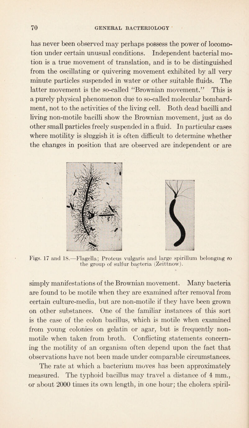 has never been observed may perhaps possess the power of locomo¬ tion under certain unusual conditions. Independent bacterial mo¬ tion is a true movement of translation, and is to be distinguished from the oscillating or quivering movement exhibited by all very minute particles suspended in water or other suitable fluids. The latter movement is the so-called “Brownian movement. ” This is a purely physical phenomenon due to so-called molecular bombard¬ ment, not to the activities of the living cell. Both dead bacilli and living non-motile bacilli show the Brownian movement, just as do other small particles freely suspended in a fluid. In particular cases where motility is sluggish it is often difficult to determine whether the changes in position that are observed are independent or are Figs. 17 and 18.—Flagella; Proteus vulgaris and large spirillum belonging <?o the group of sulfur bacteria (Zeittnow). simply manifestations of the Brownian movement. Many bacteria are found to be motile when they are examined after removal from certain culture-media, but are non-motile if they have been grown on other substances. One of the familiar instances of this sort is the case of the colon bacillus, which is motile when examined from young colonies on gelatin or agar, but is frequently non- motile when taken from broth. Conflicting statements concern¬ ing the motility of an organism often depend upon the fact that observations have not been made under comparable circumstances. The rate at which a bacterium moves has been approximately measured. The typhoid bacillus may travel a distance of 4 mm., or about 2000 times its own length, in one hour; the cholera spirit-