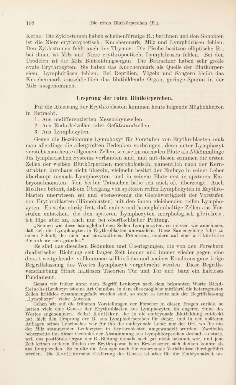 Kerne. Die Zyldostomen haben scheibenförmige R.; bei ihnen und den Ganoiden ist die Niere erythropoetisch; Knochenmark, Milz und Lymphdrüsen fehlen. Den Zyldostomen fehlt auch der Thymus. Die Fische besitzen elliptische R.; bei ihnen ist Milz und Niere erythropoetisch, Lymphdrüsen fehlen. Bei den Urodelen ist die Milz Blutbildungsorgan. Die Batrachier haben sehr große ovale Erythrozyten. Sie haben das Knochenmark als Quelle der Blutkörper¬ chen, Lymphdrüsen fehlen. Bei Reptilien, Vögeln und Säugern bleibt das Knochenmark ausschließlich das blutbildende Organ, geringe Spuren in der Milz ausgenommen. Ursprung der roten Blutkörperchen. Für die Ableitung der Erythroblasten kommen heute folgende Möglichkeiten in Betracht. 1. Aus undifferenzierten Mesenchymzellen. 2. Aus Endothelzellen oder Gefäßwandzellen. 3. Aus Lymphozyten. Gegen die Bezeichnung Lymphozyt für Vorstufen von Erythroblasten muß man allerdings die allergrößten Bedenken Vorbringen; denn unter Lymphozyt versteht man heute allgemein Zellen, wie sie im normalen Blute als Abkömmlinge des lymphatischen Systems vorhanden sind, und mit diesen stimmen die ersten Zellen der weißen Blutkörperchen morphologisch, namentlich nach der Kern¬ struktur, durchaus nicht überein, vielmehr besitzt der Embryo in seiner Leber überhaupt niemals Lymphozyten, und in seinem Blute erst in späteren Em¬ bryonalmonaten. Von beiden Tatsachen habe ich mich oft überzeugt. Auch Mollier betont, daß ein Übergang von späteren reifen Lymphozyten in Erythro¬ blasten unerwiesen sei und ebensowenig die Gleichwertigkeit der Vorstufen von Erythroblasten (Hämoblasten) mit den ihnen gleichenden reifen Lympho¬ zyten. Es stehe einzig fest, daß embryonal hämoglobinhaltige Zellen aus Vor¬ stufen entstehen, die den späteren Lymphozyten morphologisch gleichen, ich füge aber zu, auch nur bei oberflächlicher Prüfung. „Nennen wie diese hämoglobinfreien Zellen Lymphozyten, so müssen wir annehmen, daß sich die Lymphozyten in Erythroblasten umwandeln. Diese Namengebung führt zu einem Schluß, der nicht auf einwandfreien Prämissen, sondern auf eine willkürliche Annahme sich gründet.“ Es sind das dieselben Bedenken und Überlegungen, die von den Forschern dualistischer Richtung seit langer Zeit immer und immer wieder gegen eine derart weitgehende, vollkommen willkürliche und meines Erachtens ganz irrige Begriffsfassung des Wortes Lymphozyt vorgebracht werden. Diese Begriffs¬ verschiebung öffnet haltlosen Theorien Tür und Tor und baut ein haltloses Fundament. Genau wie früher unter dem Begriff Leukozyt nach dem bekannten Worte Rind- fleischs (Leukozyt ist eine Art Omnibus, in dem alles mögliche mitfährt) die heterogensten Zellen kritiklos zusammengefaßt worden sind, so steht es heute mit der Begriffsfassung „Lymphozyt“ vieler Autoren. Gehen wir auf die früheren Vorstellungen der Forscher in diesen Fragen zurück, so hatten viele eine Genese der Erythroblasten aus Lymphozyten im engeren Sinne des Wortes angenommen. Selbst Koelliker, der ja die embryonale Blutbildung entdeckt hat, hielt den Ursprung der R. aus Lymphkörperchen für sicher, und in den späteren Auflagen seines Lehrbuches war für ihn die embryonale Leber nur der Ort, wo die aus der Milz stammenden Leukozyten in Erythroblasten umgewandelt wurden. Zweifellos beherrschte ihn dieser Gedanke der Abstammung aus Lymphkörperchen deshalb so stark, weil das postfötale Organ der R.-Bildung damals noch gar nicht bekannt war, und jene Zeit keinen anderen Modus der Erythropoese beim Erwachsenen sich denken konnte als aus Lymphzellen. So mußte die Analogie auch für embryonale Verhältnisse durchgeführt werden. Die Koelli kersche Erklärung der Genese ist aber für die Embryonalzeit un-