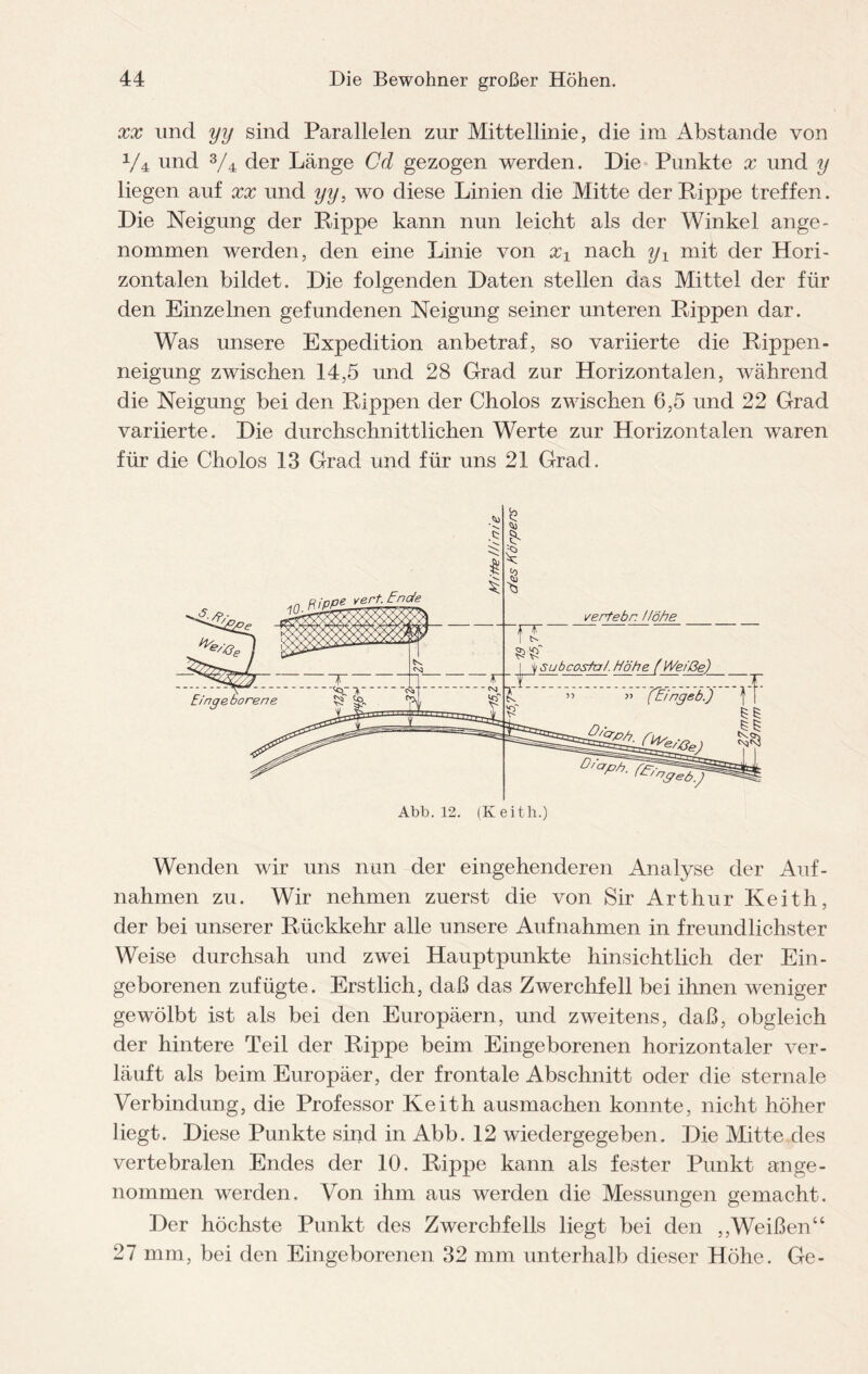 xx und yy sind Parallelen zur Mittellinie, die im Abstande von y4 und 3/4 der Länge Cd gezogen werden. Die Punkte x und y liegen auf xx und yy, wo diese Linien die Mitte der Hippe treffen. Die Neigung der Rippe kann nun leicht als der Winkel ange¬ nommen werden, den eine Linie von x± nach y± mit der Hori¬ zontalen bildet. Die folgenden Daten stellen das Mittel der für den Einzelnen gefundenen Neigung seiner unteren Rippen dar. Was unsere Expedition anbetraf, so variierte die Rippen- neigung zwischen 14,5 und 28 Grad zur Horizontalen, während die Neigung bei den Rippen der Cholos zwischen 6,5 und 22 Grad variierte. Die durchschnittlichen Werte zur Horizontalen waren für die Cholos 13 Grad und für uns 21 Grad. Wenden wir uns nun der eingehenderen Analyse der Auf¬ nahmen zu. Wir nehmen zuerst die von Sir Arthur Keith, der bei unserer Rückkehr alle unsere Aufnahmen in freundlichster Weise durchsah und zwei Hauptpunkte hinsichtlich der Ein¬ geborenen zufügte. Erstlich, daß das Zwerchfell bei ihnen weniger gewölbt ist als bei den Europäern, und zweitens, daß, obgleich der hintere Teil der Rippe beim Eingeborenen horizontaler ver¬ läuft als beim Europäer, der frontale Abschnitt oder die sternale Verbindung, die Professor Keith ausmachen konnte, nicht höher liegt. Diese Punkte sind in Abb. 12 wiedergegeben. Die Mitte des vertebralen Endes der 10. Rippe kann als fester Punkt ange¬ nommen werden. Von ihm aus werden die Messungen gemacht. Der höchste Punkt des Zwerchfells liegt bei den ,,Weißen“ 27 mm, bei den Eingeborenen 32 mm unterhalb dieser Höhe. Ge-