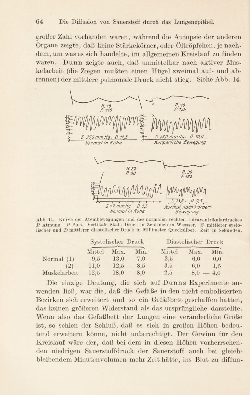 großer Zahl vorhanden waren, während die Autopsie der anderen Organe zeigte, daß keine Stärkekörner, oder Öltröpfchen, je nach¬ dem, um was es sich handelte, im allgemeinen Kreislauf zu finden waren. Dünn zeigte auch, daß unmittelbar nach aktiver Mus¬ kelarbeit (die Ziegen mußten einen Hügel zweimal auf- und ab- rennen) der mittlere pulmonale Druck nicht stieg. Siehe Abb. 14. lischer und D mittlerer diastolischer Druck in Millimeter Quecksilber. Zeit in Sekunden. Systolischer Druck Diastolischer Druck Mittel Max. Min. Mittel Max. Min, Normal (1) 9,5 13,0 7,0 2,5 6,0 0,0 (2) 11,0 12,5 8,5 3,5 6,0 1,5 Muskelarbeit 12,5 18,0 8,0 2,5 8,0 — 4,0 Die einzige Deutung, die sich auf Dunns Experimente an- wenden ließ, war die, daß die Gefäße in den nicht embolisierten Bezirken sich erweitert und so ein Gefäßbett geschaffen hatten, das keinen größeren Widerstand als das ursprüngliche darstellte. Wenn also das Gefäßbett der Lungen eine veränderliche Größe ist, so schien der Schluß, daß es sich in großen Höhen bedeu¬ tend erweitern könne, nicht unberechtigt. Der Gewinn für den Kreislauf wäre der, daß bei dem in diesen Höhen vorherrschen¬ den niedrigen Sauerstoffdruck der Sauerstoff auch bei gleich¬ bleibendem Minuten volumen mehr Zeit hätte, ins Blut zu diffun-