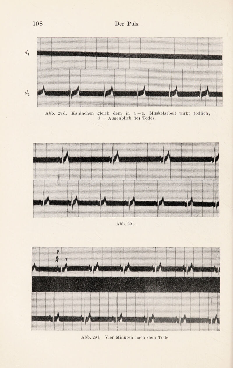 Abb. 29d. Kaninchen gleich dem in a—c. Muskelarbeit wirkt tödlich; cl\— Augenblick des Todes. Abb. 29e. Abb. 29f. Vier Minuten nach dem Tode