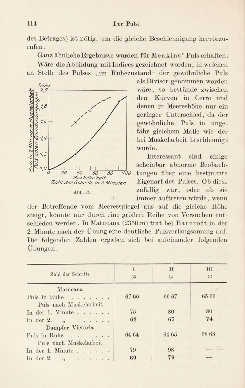 des Betrages) ist nötig, um die gleiche Beschleunigung hervorzu¬ rufen . Ganz ähnliche Ergebnisse wurden für Meakins ’ Puls erhalten. Wäre die Abbildung mit Indices gezeichnet worden, in welchen an Stelle des Pulses ,,im Ruhezustand“ der gewöhnliche Puls als Divisor genommen worden wäre, so bestünde zwischen den Kurven in Cerro und denen in Meereshöhe nur ein geringer Unterschied, da der gewöhnliche Puls in unge¬ fähr gleichem Maße wie der bei Muskelarbeit beschleunigt wurde. Interessant sind einige scheinbar abnorme Beobach¬ tungen über eine bestimmte Eigenart des Pulses. Ob diese zufällig war, oder ob sie immer auftreten würde, wenn der Betreffende vom Meeresspiegel aus auf die gleiche Höhe steigt, könnte nur durch eine größere Reihe von Versuchen ent¬ schieden werden. In Matucana (2350 m) trat bei Barcroft in der 2. Minute nach der Übung eine deutliche Pulsverlangsamung auf. Die folgenden Zahlen ergaben sich bei aufeinander folgenden Übungen. ! i i £ CX) .c; >53 £ ZO 10 60 80 Muskelarbeit. Zahl afer Sch ritte in 3 Minuten Abb. 31. 100 I II in Zahl der Schritte 36 54 72 Matucana Puls in Ruhe. 67 66 66 67 65 66 Puls nach Muskelarbeit In der 1. Minute. 75 80 80 In der 2. „ . 62 67 74 Dampfer Victoria Puls in Ruhe . 64 64 64 65 68 68 Puls nach Muskelarbeit In der 1. Minute. 79 98 — ■ • In der 2. „ . 69 79 —