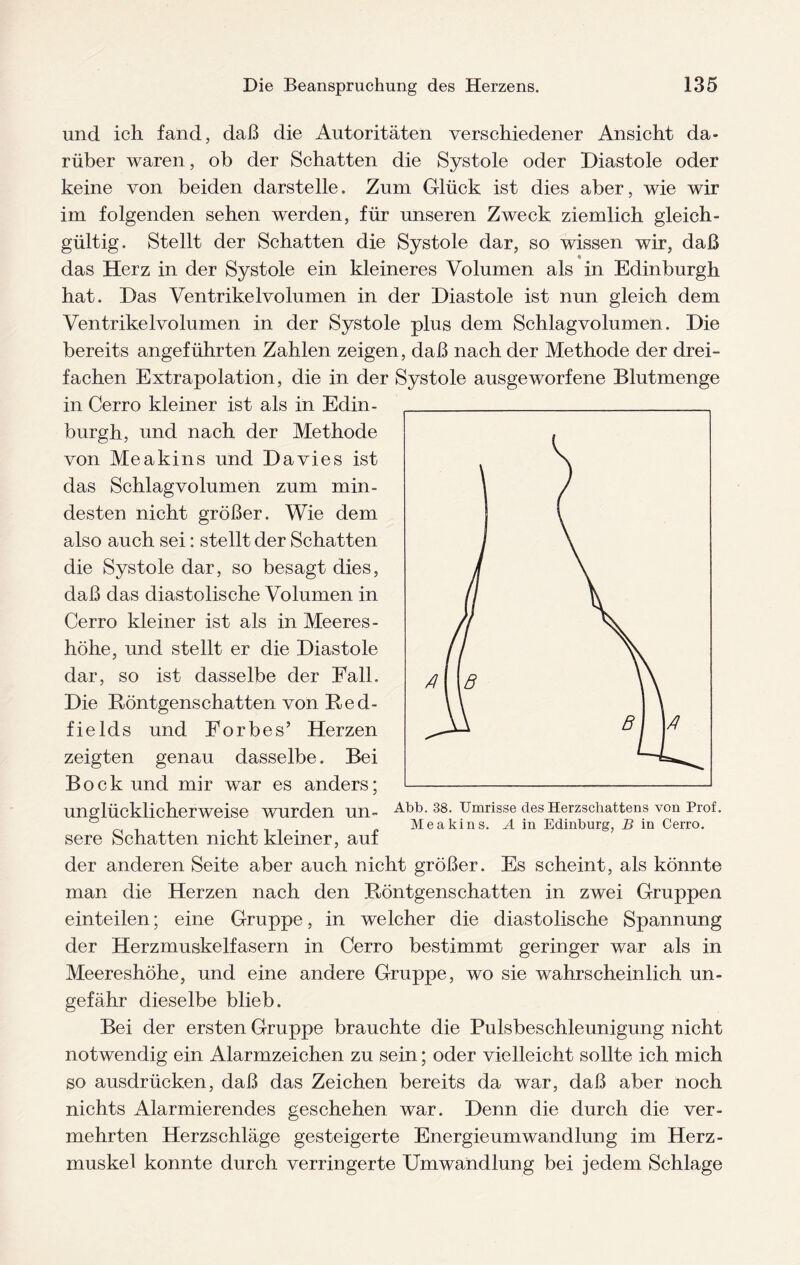 und ich fand, daß die Autoritäten verschiedener Ansicht da¬ rüber waren, ob der Schatten die Systole oder Diastole oder keine von beiden darstelle. Zum Glück ist dies aber, wie wir im folgenden sehen werden, für unseren Zweck ziemlich gleich¬ gültig. Stellt der Schatten die Systole dar, so wissen wir, daß das Herz in der Systole ein kleineres Volumen als in Edinburgh hat. Das VentrikeIvolumen in der Diastole ist nun gleich dem Ventrikelvolumen in der Systole plus dem Schlagvolumen. Die bereits angeführten Zahlen zeigen, daß nach der Methode der drei¬ fachen Extrapolation, die in der Systole ausgeworfene Blutmenge in Cerro kleiner ist als in Edin¬ burgh, und nach der Methode von Meakins und Davies ist das Schlagvolumen zum min¬ desten nicht größer. Wie dem also auch sei: stellt der Schatten die Systole dar, so besagt dies, daß das diastolische Volumen in Cerro kleiner ist als in Meeres- höhe, und stellt er die Diastole dar, so ist dasselbe der Fall. Die Röntgenschatten von Red- fields und Forbes’ Herzen zeigten genau dasselbe. Bei Bock und mir war es anders; unglücklicherweise wurden un- Abb. 38. Umrisse des Herzschattens von Prof. Meakins. A in Edinburg, B in Cerro. sere Schatten nicht kleiner, auf der anderen Seite aber auch nicht größer. Es scheint, als könnte man die Herzen nach den Röntgenschatten in zwei Gruppen einteilen; eine Gruppe, in welcher die diastolische Spannung der Herzmuskelfasern in Cerro bestimmt geringer war als in Meereshöhe, und eine andere Gruppe, wo sie wahrscheinlich un¬ gefähr dieselbe blieb. Bei der ersten Gruppe brauchte die Pulsbeschleunigung nicht notwendig ein Alarmzeichen zu sein; oder vielleicht sollte ich mich so ausdrücken, daß das Zeichen bereits da war, daß aber noch nichts Alarmierendes geschehen war. Denn die durch die ver¬ mehrten Herzschläge gesteigerte Energieumwandlung im Herz¬ muskel konnte durch verringerte Umwandlung bei jedem Schlage