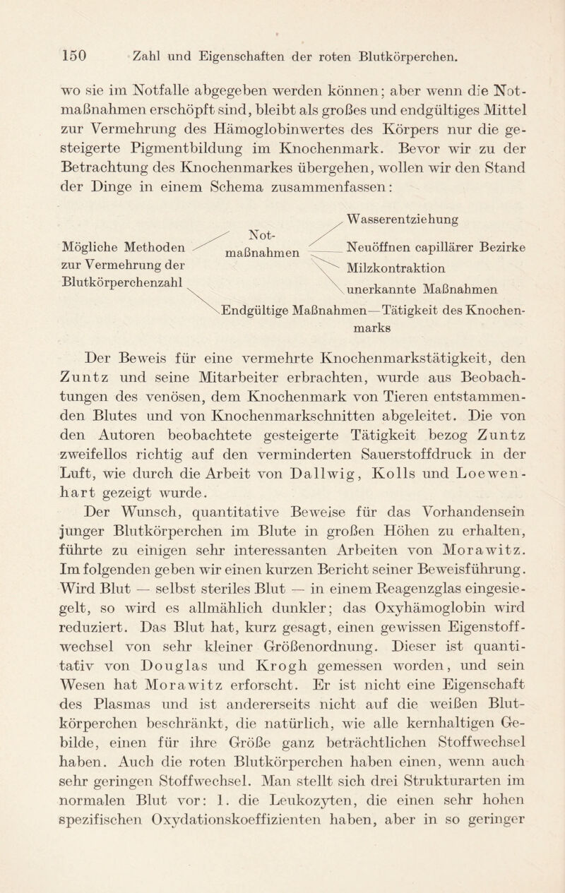 wo sie im Notfälle abgegeben werden können; aber wenn die Not¬ maßnahmen erschöpft sind, bleibt als großes und endgültiges Mittel zur Vermehrung des Hämoglobin wertes des Körpers nur die ge¬ steigerte Pigmentbildung im Knochenmark. Bevor wir zu der Betrachtung des Knochenmarkes übergehen, wollen wir den Stand der Dinge in einem Schema zusammenfassen: Mögliche Methoden zur Vermehrung der Blutkörperchenzahl Der Beweis für eine vermehrte Knochenmarkstätigkeit, den Zuntz und seine Mitarbeiter erbrachten, wurde aus Beobach¬ tungen des venösen, dem Knochenmark von Tieren entstammen¬ den Blutes und von Knochenmarkschnitten abgeleitet. Die von den Autoren beobachtete gesteigerte Tätigkeit bezog Zuntz zweifellos richtig auf den verminderten Sauerstoffdruck in der Luft, wie durch die Arbeit von Dallwig, Kolls und Loewen- hart gezeigt wurde. Der Wunsch, quantitative Beweise für das Vorhandensein junger Blutkörperchen im Blute in großen Höhen zu erhalten, führte zu einigen sehr interessanten Arbeiten von Morawitz. Im folgenden geben wir einen kurzen Bericht seiner Beweisführung. Wird Blut — selbst steriles Blut — in einem Reagenzglas eingesie¬ gelt, so wird es allmählich dunkler; das Oxyhämoglobin wird reduziert. Das Blut hat, kurz gesagt, einen gewissen Eigenstoff¬ wechsel von sehr kleiner Größenordnung. Dieser ist quanti¬ tativ von Douglas und Krogh gemessen worden, und sein Wesen hat Morawitz erforscht. Er ist nicht eine Eigenschaft des Plasmas und ist andererseits nicht auf die weißen Blut¬ körperchen beschränkt, die natürlich, wie alle kernhaltigen Ge¬ bilde, einen für ihre Größe ganz beträchtlichen Stoffwechsel haben. Auch die roten Blutkörperchen haben einen, wenn auch sehr geringen Stoffwechsel. Man stellt sich drei Strukturarten im normalen Blut vor: 1. die Leukozyten, die einen sehr hohen spezifischen Oxydationskoeffizienten haben, aber in so geringer Not¬ maßnahmen Wasserentziehung Neuöffnen capillärer Bezirke Milzkontraktion \ unerkannte Maßnahmen Endgültige Maßnahmen—Tätigkeit des Knochen¬ marks