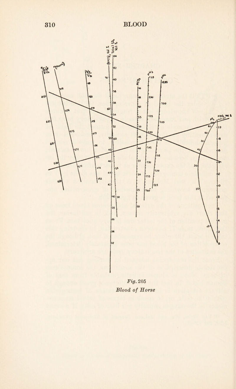 4* Fig. 205 Blood of Horse
