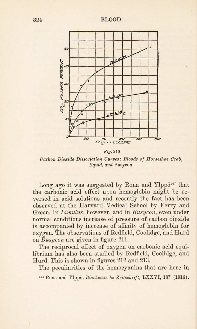 Fig. 210 Carbon Dioxide Dissociation Curves: Bloods of Horseshoe Crab, Squid, and Busy eon Long ago it was suggested by Rona and Ylppo147 that the carbonic acid effect upon hemoglobin might be re¬ versed in acid solutions and recently the fact has been observed at the Harvard Medical School by Ferry and Green. In Limulus, however, and in Busy con, even under normal conditions increase of pressure of carbon dioxide is accompanied by increase of affinity of hemoglobin for oxygen. The observations of Redfield, Coolidge, and Hurd on Busy con are given in figure 211. The reciprocal effect of oxygen on carbonic acid equi¬ librium has also been studied by Redfield, Coolidge, and Hurd. This is shown in figures 212 and 213. The peculiarities of the hemocyanins that are here in 147 Rona and Ylppo, Biochemisehe Zeitschrift, LXXYI, 187 (1916).