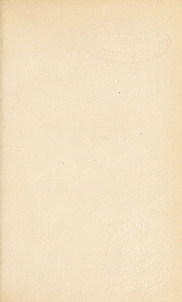 digitised image 3