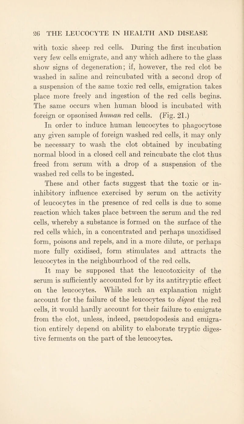 with toxic sheep red cells. During the first incubation very few cells emigrate, and any which adhere to the glass show signs of degeneration; if, however, the red clot be washed in saline and reincubated with a second drop of a suspension of the same toxic red cells, emigration takes place more freely and ingestion of the red cells begins. The same occurs when human blood is incubated with foreign or opsonised human red cells. (Fig. 21.) In order to induce human leucocytes to phagocytose any given sample of foreign washed red cells, it may only be necessary to wash the clot obtained by incubating normal blood in a closed cell and reincubate the clot thus freed from serum with a drop of a suspension of the washed red cells to be ingested. These and other facts suggest that the toxic or in- inhibitory influence exercised by serum on the activity of leucocytes in the presence of red cells is due to some reaction which takes place between the serum and the red cells, whereby a substance is formed on the surface of the red cells which, in a concentrated and perhaps unoxidised form, poisons and repels, and in a more dilute, or perhaps more fully oxidised, form stimulates and attracts the leucocytes in the neighbourhood of the red cells. It may be supposed that the leucotoxicity of the serum is sufficiently accounted for by its antitryptic effect on the leucocytes. While such an explanation might account for the failure of the leucocytes to digest the red cells, it would hardly account for their failure to emigrate from the clot, unless, indeed, pseudopodesis and emigra¬ tion entirely depend on ability to elaborate tryptic diges¬ tive ferments on the part of the leucocytes.
