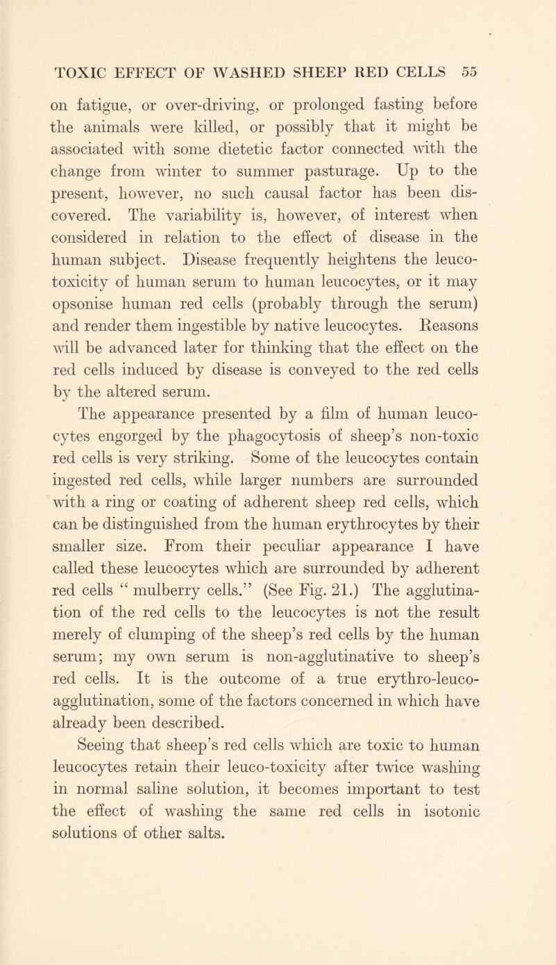 on fatigue, or over-driving, or prolonged fasting before the animals were killed, or possibly that it might be associated with some dietetic factor connected with the change from winter to summer pasturage. Up to the present, however, no such causal factor has been dis¬ covered. The variability is, however, of interest when considered in relation to the effect of disease in the human subject. Disease frequently heightens the leuco- toxicity of human serum to human leucocytes, or it may opsonise human red cells (probably through the serum) and render them ingestible by native leucocytes. Reasons will be advanced later for thinking that the effect on the red cells induced by disease is conveyed to the red cells by the altered serum. The appearance presented by a film of human leuco¬ cytes engorged by the phagocytosis of sheep’s non-toxic red cells is very striking. Some of the leucocytes contain ingested red cells, while larger numbers are surrounded with a ring or coating of adherent sheep red cells, which can be distinguished from the human erythrocytes by their smaller size. From their peculiar appearance I have called these leucocytes which are surrounded by adherent red cells “ mulberry cells.” (See Fig. 21.) The agglutina¬ tion of the red cells to the leucocytes is not the result merely of clumping of the sheep’s red cells by the human serum; my own serum is non-agglutinative to sheep’s red cells. It is the outcome of a true erythro-leuco- agglutination, some of the factors concerned in which have already been described. Seeing that sheep’s red cells which are toxic to human leucocytes retain their leuco-toxicity after twice washing in normal saline solution, it becomes important to test the effect of washing the same red cells in isotonic solutions of other salts.