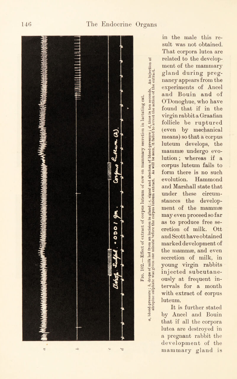 -o ^ in the male this re¬ sult was not obtained. That corpora lutea are related to the develop¬ ment of the mammary gland during preg¬ nancy appears from the experiments of Ancel and Bouin and of O’Donoghue, who have found that if in the virgin rabbit a Graafian follicle be ruptured (even by mechanical means) so that a corpus luteum develops, the mammae undergo evo¬ lution ; whereas if a corpus luteum fails to form there is no such evolution. Hammond and Marshall state that under these circum¬ stances the develop¬ ment of the mammae may even proceed so far as to produce free se¬ cretion of milk. Ott and Scott have obtained marked development of the mammae, and even secretion of milk, in young virgin rabbits injected subcutane¬ ously at frequent in¬ tervals for a month with extract of corpus luteum. It is further stated by Ancel and Bouin that if all the corpora lutea are destroyed in a pregnant rabbit the development of the mammary gland is