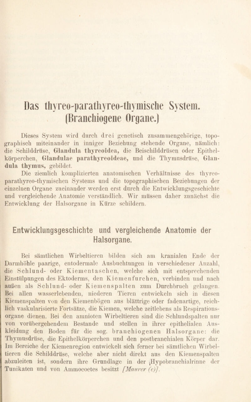 Das thyreo-parathyreo-thymische System. (Branehiogene Organe.) Dieses System wird durch drei genetisch zusammengehörige, topo¬ graphisch miteinander in inniger Beziehung stehende Organe, nämlich: die Schilddrüse, Glandula tliyreoidea, die Beischilddrüsen oder Epithel¬ körperchen, Glandulae parathyreoideae, und die Thymusdrüse, Glan¬ dula tImnus, gebildet. Die ziemlich komplizierten anatomischen Verhältnisse des thyreo- parathyreo-thymischen Systems und die topographischen Beziehungen der einzelnen Organe zueinander werden erst durch die Entwicklungsgeschichte und vergleichende Anatomie verständlich. Wir müssen daher zunächst die Entwicklung der Halsorgane in Kürze schildern. Entwicklungsgeschichte und vergleichende Anatomie der Halsorgane. Bei sämtlichen Wirbeltieren bilden sich am kranialen Ende der Darmhöhle paarige, entodermale Ausbuchtungen in verschiedener Anzahl, die Schlund- oder Kiementaschen, welche sich mit entsprechenden Einstülpungen des Ektoderms, den Kiemen furchen, verbinden und nach außen als Schlund- oder Kiemenspalten zum Durchbruch gelangen. Bei allen wasserlebenden, niederen Tieren entwickeln sich in diesen Kiemenspalten von den Kiemenbögen aus blättrige oder fadenartige, reich¬ lich vaskularisierte Fortsätze, die Kiemen, welche zeitlebens als Respirations¬ organe dienen. Bei den amnioten Wirbeltieren sind die Schlundspalten nur von vorübergehendem Bestände und stellen in ihrer epithelialen Aus¬ kleidung den Boden für die sog. branchiogenen Halsorgane: die Thymusdrüse, die Epithelkörperchen und den postbranchialen Körper dar. Im Bereiche der Kiemenregion entwickelt sich ferner bei sämtlichen Wirbel- I tieren die Schilddrüse, welche aber nicht direkt aus den Kiemenspalten abzuleiten ist, sondern ihre Grundlage in der ^Hypobranchialrinne der Tunikaten und von Ammocoetes besitzt [Maurer (e)J.