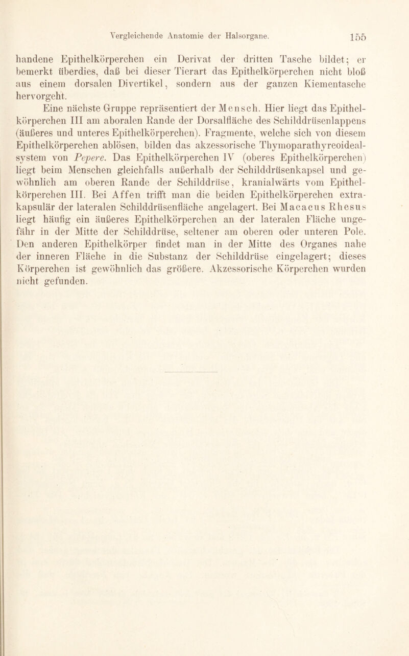 handene Epithelkörperchen ein Derivat der dritten Tasche bildet; er bemerkt überdies, daß bei dieser Tierart das Epithelkörperchen nicht bloß aus einem dorsalen Divertikel, sondern aus der ganzen Kiementasche hervorgeht. Eine nächste Gruppe repräsentiert der Mensch. Hier liegt das Epithel¬ körperchen III am aboralen Rande der Dorsalfläehe des Schilddrüsenlappens (äußeres und unteres Epithelkörperchen). Fragmente, welche sich von diesem Epithelkörperchen ablösen, bilden das akzessorische Thymoparathyreoideal- system von Pepere. Das Epithelkörperchen IV (oberes Epithelkörperchen) liegt beim Menschen gleichfalls außerhalb der Schilddrüsenkapsel und ge¬ wöhnlich am oberen Rande der Schilddrüse, kranialwärts vom Epithel¬ körperchen III. Bei Affen trifft man die beiden Epithelkörperchen extra¬ kapsulär der lateralen Schilddrüsenfläche angelagert. Bei Macacus Rhesus liegt häutig ein äußeres Epithelkörperchen an der lateralen Fläche unge¬ fähr in der Mitte der Schilddrüse, seltener am oberen oder unteren Pole. Den anderen Epithelkörper findet man in der Mitte des Organes nahe der inneren Fläche in die Substanz der Schilddrüse eingelagert; dieses Körperchen ist gewöhnlich das größere. Akzessorische Körperchen wurden nicht gefunden.