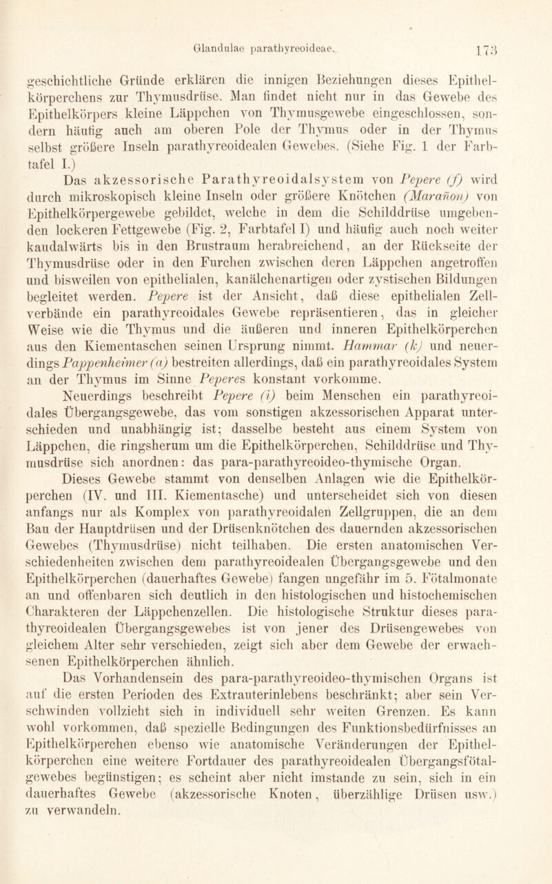 geschichtliche Gründe erklären die innigen Beziehungen dieses Epithel¬ körperchens zur Thymusdrüse. Man findet nicht nur in das Gewebe des Epithelkörpers kleine Läppchen von Thymusgewebe eingeschlossen, son¬ dern häutig auch am oberen Pole der Thymus oder in der Thymus selbst größere Inseln parathyreoidealen Gewebes. (Siehe Fig. 1 der Farb¬ tafel I.) Das akzessorische Parathyreoidalsystem von Pepere (f) wird durch mikroskopisch kleine Inseln oder größere Knötchen (Maranon) von Epithelkörpergewebe gebildet, welche in dem die Schilddrüse umgeben¬ den lockeren Fettgewebe (Fig. 2, Farbtafel I) und häufig auch noch weiter kaudalwärts bis in den Brustraum herabreichend , an der Rückseite der Thymusdrüse oder in den Furchen zwischen deren Läppchen angetroffen und bisweilen von epithelialen, kanälchenartigen oder zystischen Bildungen begleitet werden. Pepere ist der Ansicht, daß diese epithelialen Zell¬ verbände ein parathyreoidales Gewebe repräsentieren, das in gleicher Weise wie die Thymus und die äußeren und inneren Epithelkörperchen aus den Kiementaschen seinen Ursprung nimmt. Hammar (kJ und neuer¬ dings Pappenheim er (a) bestreiten allerdings, daß ein parathyreoidales System an der Thymus im Sinne Peperes konstant vorkomme. Neuerdings beschreibt Pepere (i) beim Menschen ein parathyreoi¬ dales Übergangsgewebe, das vom sonstigen akzessorischen Apparat unter¬ schieden und unabhängig ist; dasselbe besteht aus einem System von Läppchen, die ringsherum um die Epithelkörperchen, Schilddrüse und Thy¬ musdrüse sich anordnen: das para-parathyreoideo-thymische Organ. Dieses Gewebe stammt von denselben Anlagen wie die Epithelkör¬ perchen (IV. und III. Kiementasche) und unterscheidet sich von diesen anfangs nur als Komplex von parathyreoidalen Zellgruppen, die an dem Bau der Hauptdrüsen und der Drüsenknötchen des dauernden akzessorischen Gewebes (Thymusdrüse) nicht teilhaben. Die ersten anatomischen Ver¬ schiedenheiten zwischen dem parathyreoidealen Übergangsgewebe und den Epithelkörperchen (dauerhaftes Gewebe) fangen ungefähr im 5. Fötalmonate an und offenbaren sich deutlich in den histologischen und histochemischen Charakteren der Läppchenzellen. Die histologische Struktur dieses para¬ thyreoidealen Übergangsgewebes ist von jener des Drüsengewebes von gleichem Alter sehr verschieden, zeigt sich aber dem Gewebe der erwach¬ senen Epithelkörperchen ähnlich. Das Vorhandensein des para-parathyreoideo-thymischen Organs ist auf die ersten Perioden des Extrauterinlebens beschränkt; aber sein Ver¬ schwinden vollzieht sich in individuell sehr weiten Grenzen. Es kann wohl Vorkommen, daß spezielle Bedingungen des Funktionsbedürfnisses an Epithelkörperchen ebenso wie anatomische Veränderungen der Epithel¬ körperchen eine weitere Fortdauer des parathyreoidealen Übergangsfötal¬ gewebes begünstigen; es scheint aber nicht imstande zu sein, sich in ein dauerhaftes Gewebe (akzessorische Knoten, überzählige Drüsen usw.) zu verwandeln.