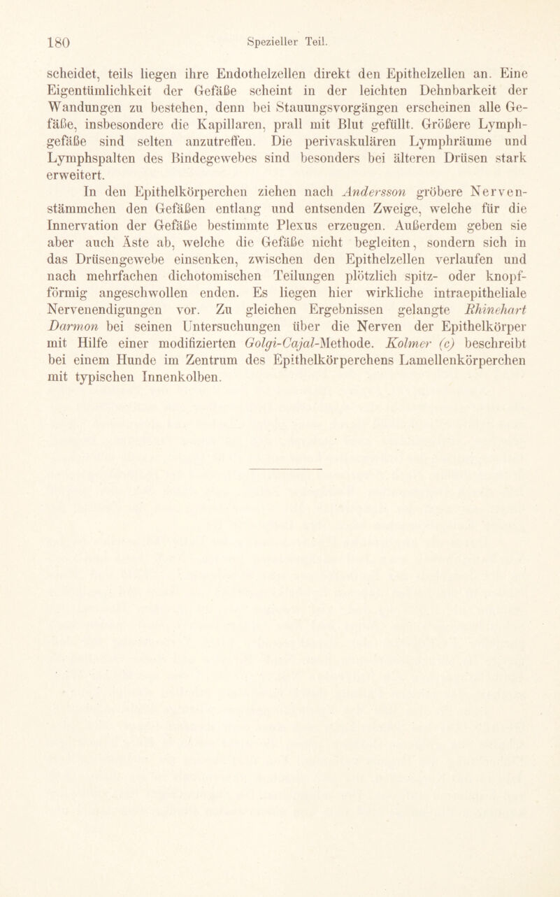 scheidet, teils liegen ihre Endothelzellen direkt den Epithelzellen an. Eine Eigentümlichkeit der Gefäße scheint in der leichten Dehnbarkeit der Wandungen zu bestehen, denn bei Stauungsvorgängen erscheinen alle Ge¬ fäße, insbesondere die Kapillaren, prall mit Blut gefüllt. Größere Lymph¬ gefäße sind selten anzutreffen. Die perivaskulären Lymphräume und Lymphspalten des Bindegewebes sind besonders bei älteren Drüsen stark erweitert. In den Epithelkörperchen ziehen nach Andersson gröbere Nerven- stämmchen den Gefäßen entlang und entsenden Zweige, welche für die Innervation der Gefäße bestimmte Plexus erzeugen. Außerdem geben sie aber auch Äste ab, welche die Gefäße nicht begleiten, sondern sich in das Drüsengewebe einsenken, zwischen den Epithelzellen verlaufen und nach mehrfachen dichotomischen Teilungen plötzlich spitz- oder knopf¬ förmig angeschwollen enden. Es liegen hier wirkliche intraepitheliale Nervenendigungen vor. Zu gleichen Ergebnissen gelangte Rhinehart Darmon bei seinen Untersuchungen über die Nerven der Epithelkörper mit Hilfe einer modifizierten Golgi-Cajal-Methode. Kolmer (c) beschreibt bei einem Hunde im Zentrum des Epithelkörperchens Lamellenkörperchen mit typischen Innenkolben.