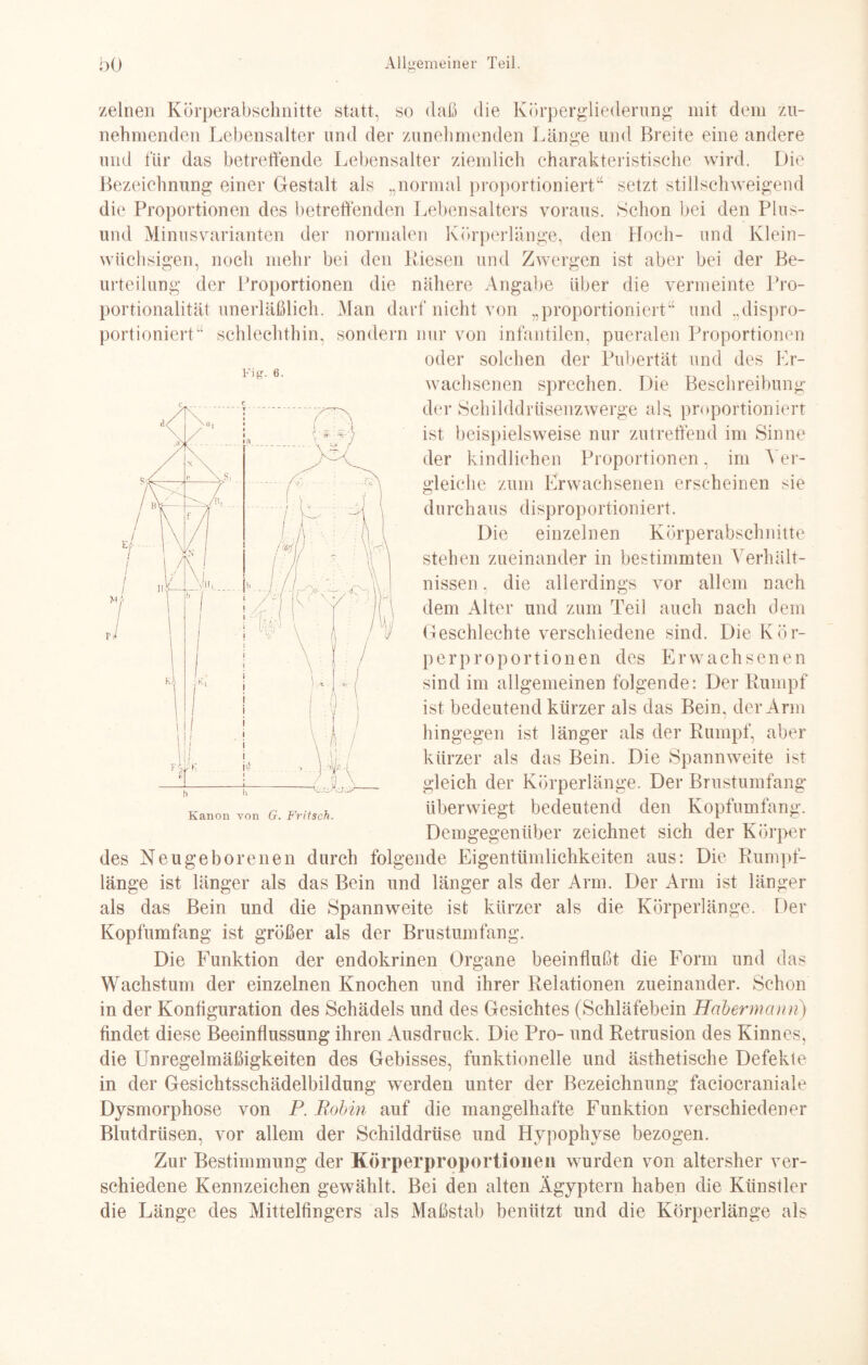 zelnen Körperabschnitte statt, so baß die Körpergliederung mit dem zu¬ nehmenden Lebensalter und der zunehmenden Länge und Breite eine andere und für das betreffende Lebensalter ziemlich charakteristische wird. Die Bezeichnung einer Gestalt als „normal proportioniert“ setzt stillschweigend die Proportionen des betreffenden Lebensalters voraus. Schon bei den Plus- und Minusvarianten der normalen Körperlänge, den Hoch- und Klein¬ wüchsigen, noch mehr bei den Riesen und Zwergen ist aber bei der Be¬ urteilung der Proportionen die nähere Angabe über die vermeinte Pro¬ portionalität unerläßlich. Man darf nicht von „proportioniert“ und „dispro¬ portioniert“ schlechthin, sondern nur von infantilen, pueralen Proportionen oder solchen der Pubertät und des Er¬ wachsenen sprechen. Die Beschreibung der Schilddrüsenzwerge als proportioniert ist beispielsweise nur zutreffend im Sinne der kindlichen Proportionen, im Ver¬ gleiche zum Erwachsenen erscheinen sie durchaus disproportioniert. Die einzelnen Körperabschnitte stehen zueinander in bestimmten Verhält¬ nissen, die allerdings vor allem nach dem Alter und zum Teil auch nach dem Geschlechte verschiedene sind. Die Kör¬ perproportionen des Erwachsenen sind im allgemeinen folgende: Der Rumpf ist bedeutend kürzer als das Bein, der Arm hingegen ist länger als der Rumpf, aber kürzer als das Bein. Die Spannweite ist gleich der Körperlänge. Der Brustumfang überwiegt bedeutend den Kopfumfang. Demgegenüber zeichnet sich der Körper des Neugeborenen durch folgende Eigentümlichkeiten aus: Die Rumpf¬ länge ist länger als das Bein und länger als der Arm. Der Arm ist länger als das Bein und die Spannweite ist kürzer als die Körperlänge. Der Kopfumfang ist größer als der Brustumfang. Die Funktion der endokrinen Organe beeinflußt die Form und das Wachstum der einzelnen Knochen und ihrer Relationen zueinander. Schon in der Konfiguration des Schädels und des Gesichtes (Schläfebein Habermann) findet diese Beeinflussung ihren Ausdruck. Die Pro- und Retrusion des Kinnes, die Unregelmäßigkeiten des Gebisses, funktionelle und ästhetische Defekte in der Gesichtsschädelbildung werden unter der Bezeichnung faciocraniale Dysmorphose von P. Bobin auf die mangelhafte Funktion verschiedener Blutdrüsen, vor allem der Schilddrüse und Hypophyse bezogen. Zur Bestimmung der Körperproportionen wurden von altersher ver¬ schiedene Kennzeichen gewählt. Bei den alten Ägyptern haben die Künstler die Länge des Mittelfingers als Maßstab benützt und die Körperlänge als