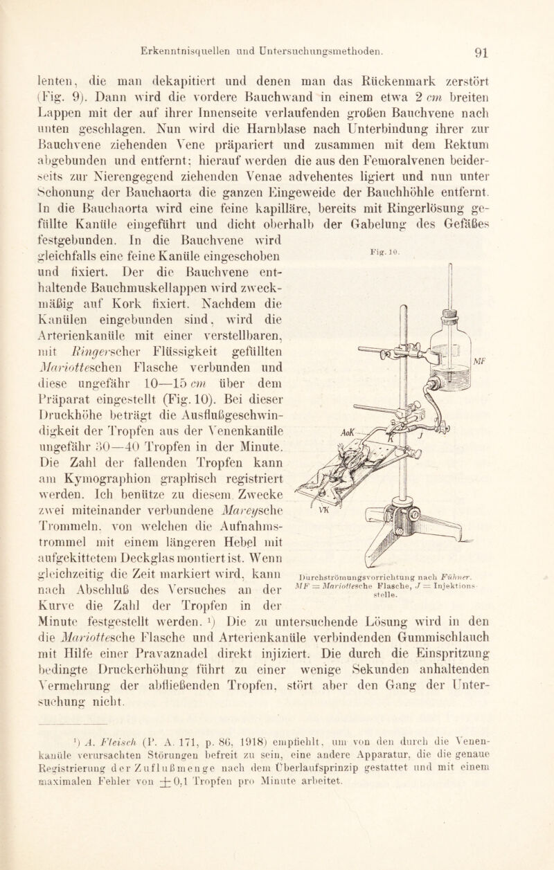 lenten, die man dekapitiert und denen man das Rückenmark zerstört (Fig. 9). Dann wird die vordere Rauchwand in einem etwa 2 cm breiten Lappen mit der auf ihrer Innenseite verlaufenden großen Bauchvene nach unten geschlagen. Nun wird die Harnblase nach Unterbindung ihrer zur Bauchvene ziehenden Vene präpariert und zusammen mit dem Rektum abgebunden und entfernt ; hierauf werden die aus den Femoralvenen beider¬ seits zur Nierengegend ziehenden Venae advehentes ligiert und nun unter Schonung der Bauchaorta die ganzen Eingeweide der Bauchhöhle entfernt. In die Bauchaorta wird eine feine kapilläre, bereits mit Ringerlösung ge¬ füllte Kanüle eingeführt und dicht oberhalb der Gabelung des Gefäßes festgebunden. In die Bauchvene wird gleichfalls eine feine Kanüle eingeschoben und fixiert. Der die Bauchvene ent¬ haltende Bauchmuskel lappen wird zweck¬ mäßig auf Kork fixiert. Nachdem die Kanülen eingebunden sind, wird die Arterienkanüle mit einer verstellbaren, mit Ringerscher Flüssigkeit gefüllten Nariotteschcw Flasche verbunden und diese ungefähr 10—15 cm über dem Präparat eingestellt (Fig. 10). Bei dieser Druckhöhe beträgt die Ausflußgeschwin¬ digkeit der Tropfen aus der Venenkanüle ungefähr 30—40 Tropfen in der Minute. Die Zahl der fallenden Tropfen kann am Kymographion graphisch registriert werden. Ich benütze zu diesem Zwecke zwei miteinander verbundene Mareysehe Trommeln, von welchen die Aufnahms¬ trommel mit einem längeren Hebel mit aufgekittetem Deckglas montiert ist. Wenn gleichzeitig die Zeit markiert wird, kann nach Abschluß des Versuches an der Kurve die Zahl der Tropfen in der Minute festgestellt werden. x) Die zu untersuchende Lösung wird in den die Mariottesehe Flasche und Arterienkanüle verbindenden Gummischlauch mit Hilfe einer Pravaznadel direkt injiziert. Die durch die Einspritzung bedingte Druckerhöhung führt zu einer wenige Sekunden anhaltenden Vermehrung der abfließenden Tropfen, stört aber den Gang der Unter¬ suchung nicht. V) A. Fleisch (P. A. 171, p. 8G, 1918) empfiehlt, um von den durch die Venen¬ kanüle verursachten Störungen befreit zu sein, eine andere Apparatur, die die genaue Registrierung der Zufluß menge nach dem Überlaufsprinzip gestattet und mit einem maximalen Fehler von ^pO,l Tropfen pro Minute arbeitet. Fig. 10. DurchstrÖmungsvorrichtung nach Fühner. MF = Mariofiesche Flasche, J = Injektions stelle.